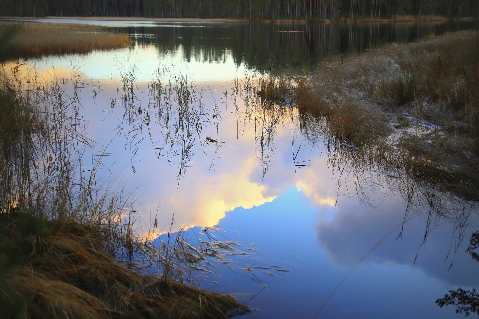 Valokuvaaja: sirpa jyske