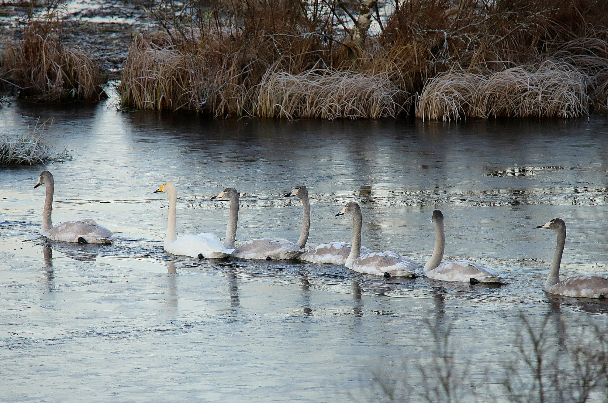 Valokuvaaja: sirpa jyske