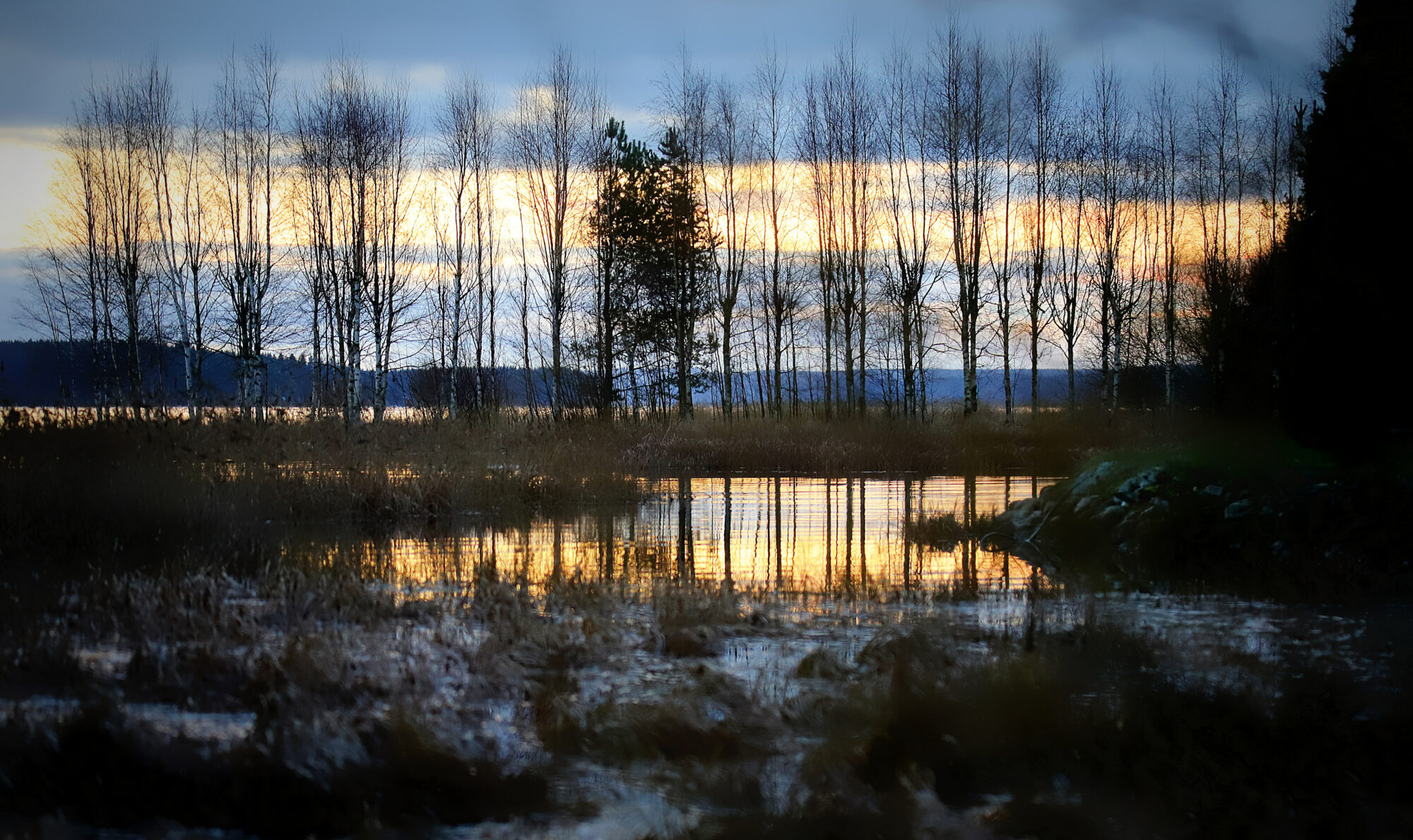Valokuvaaja: sirpa jyske Valokuvaaja: sirpa jyske