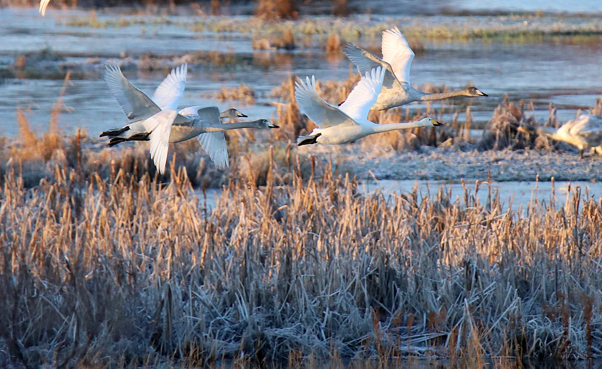 Valokuvaaja: sirpa jyske