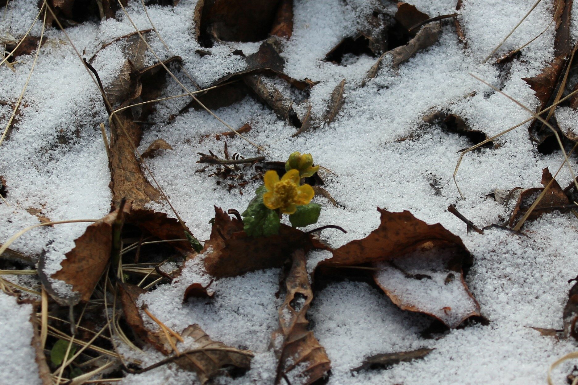 Valokuvaaja: Tiina R Valokuvaaja: Tiina R