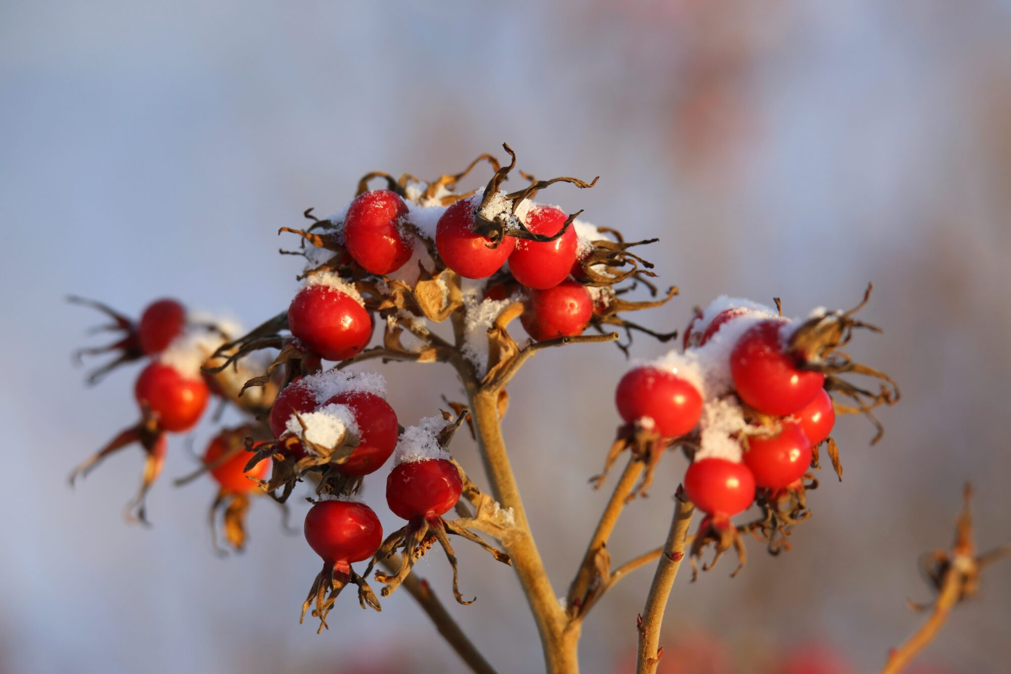 Valokuvaaja: Jaana Saarelainen