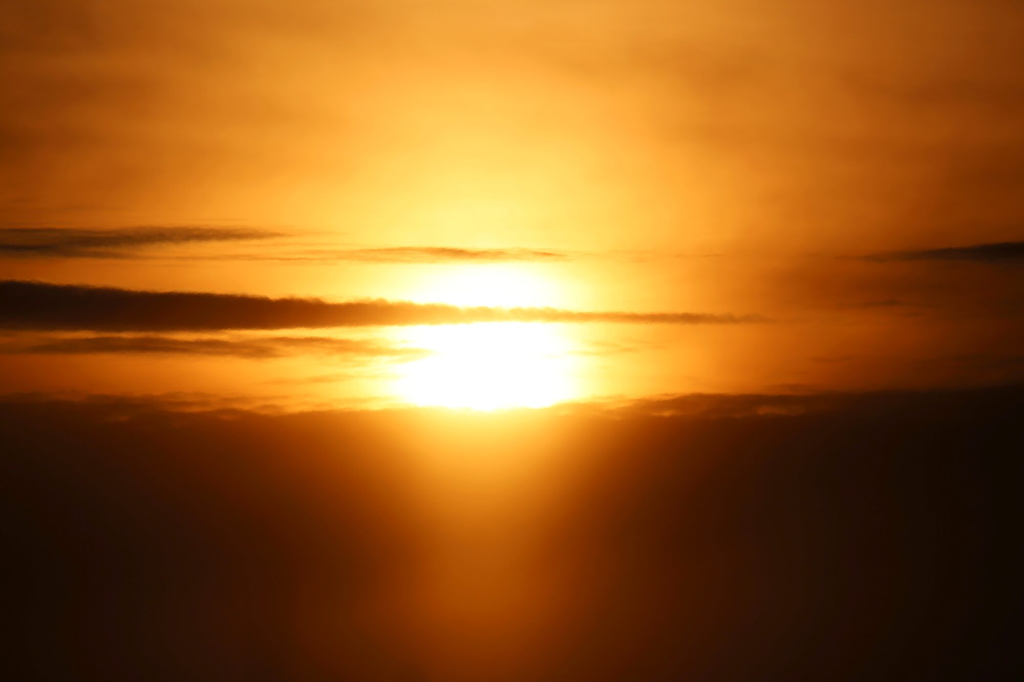 Valokuvaaja: Jaana Saarelainen