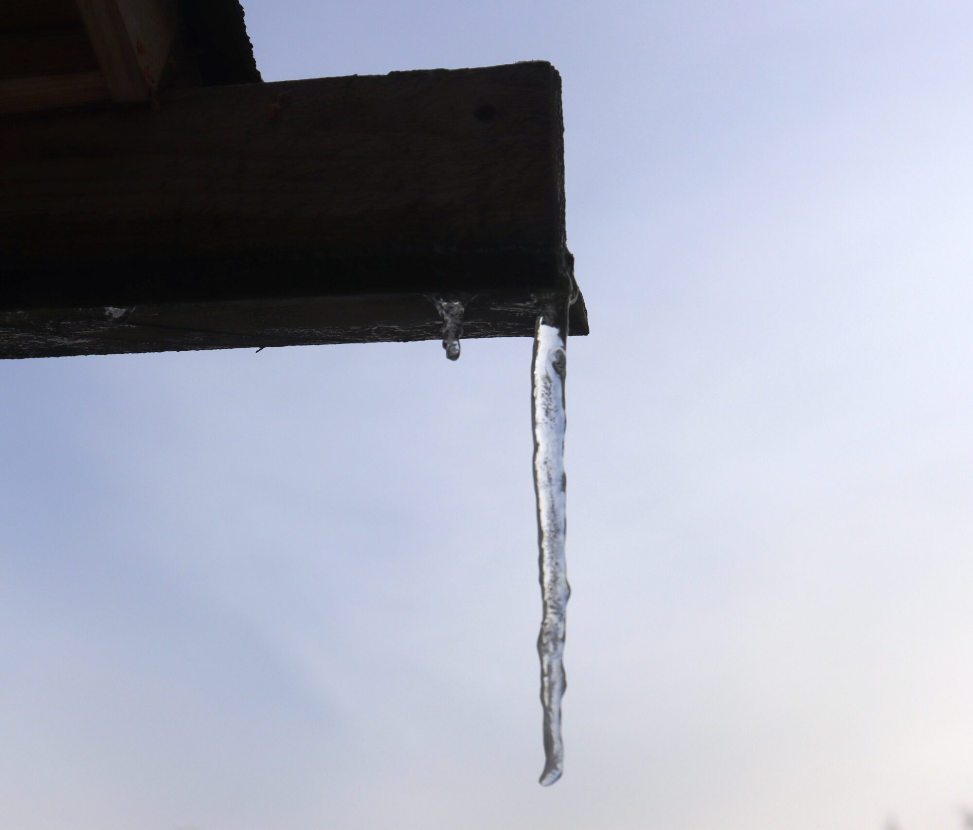 Valokuvaaja: rane nuutinen