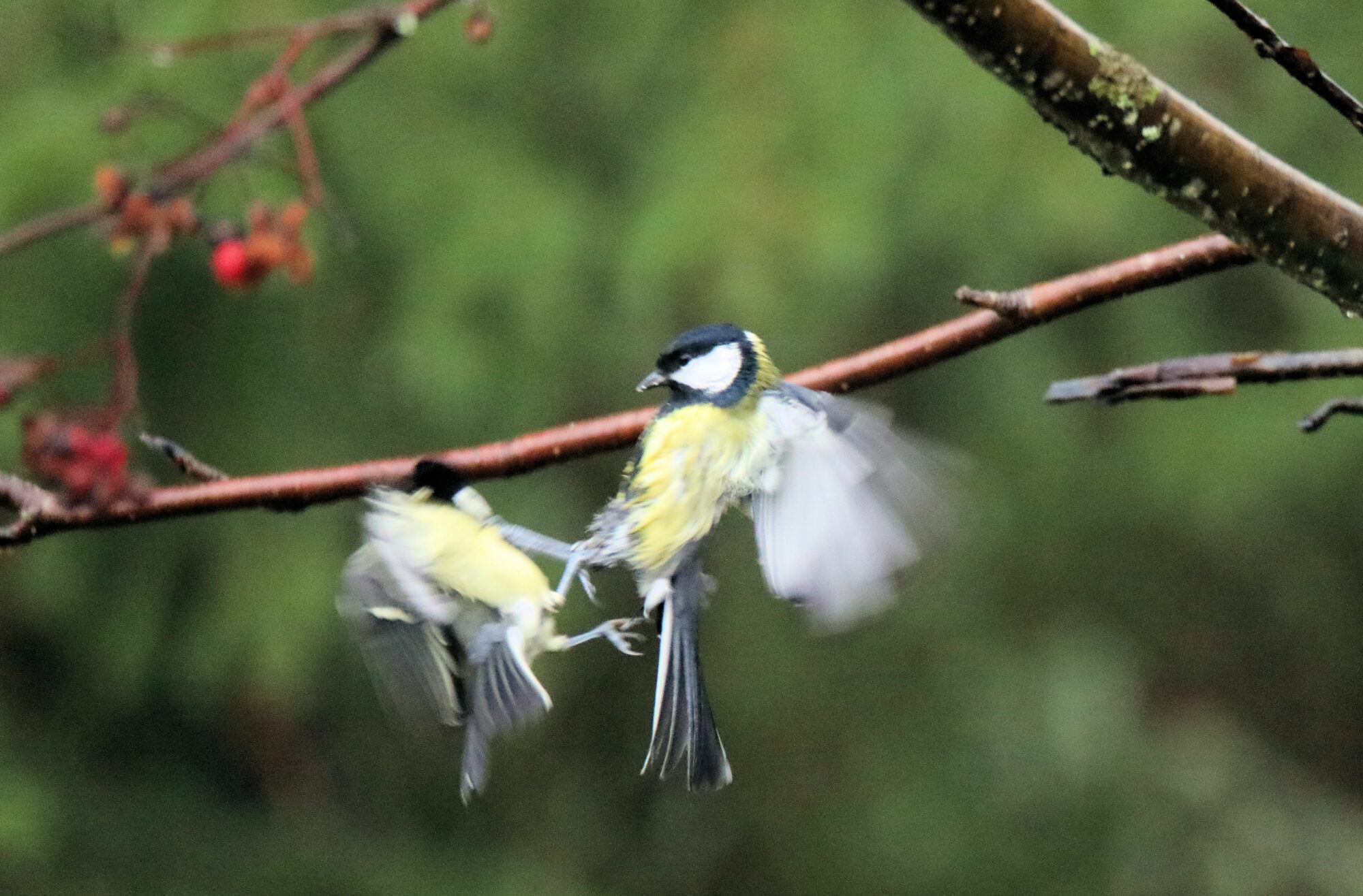 Valokuvaaja: Ahti Keränen