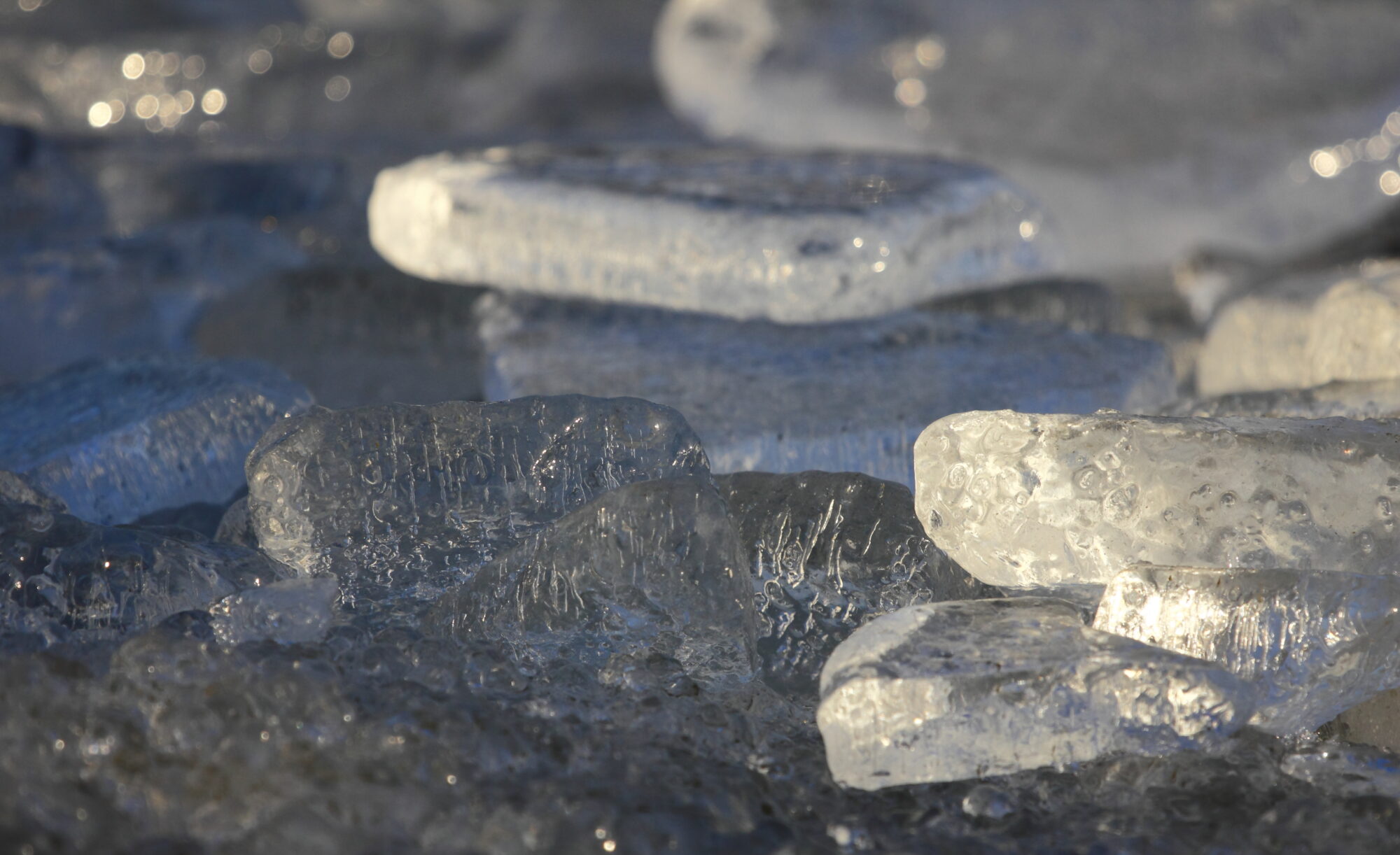 Valokuvaaja: Anja Kaarina Vest Valokuvaaja: Anja Kaarina Vest