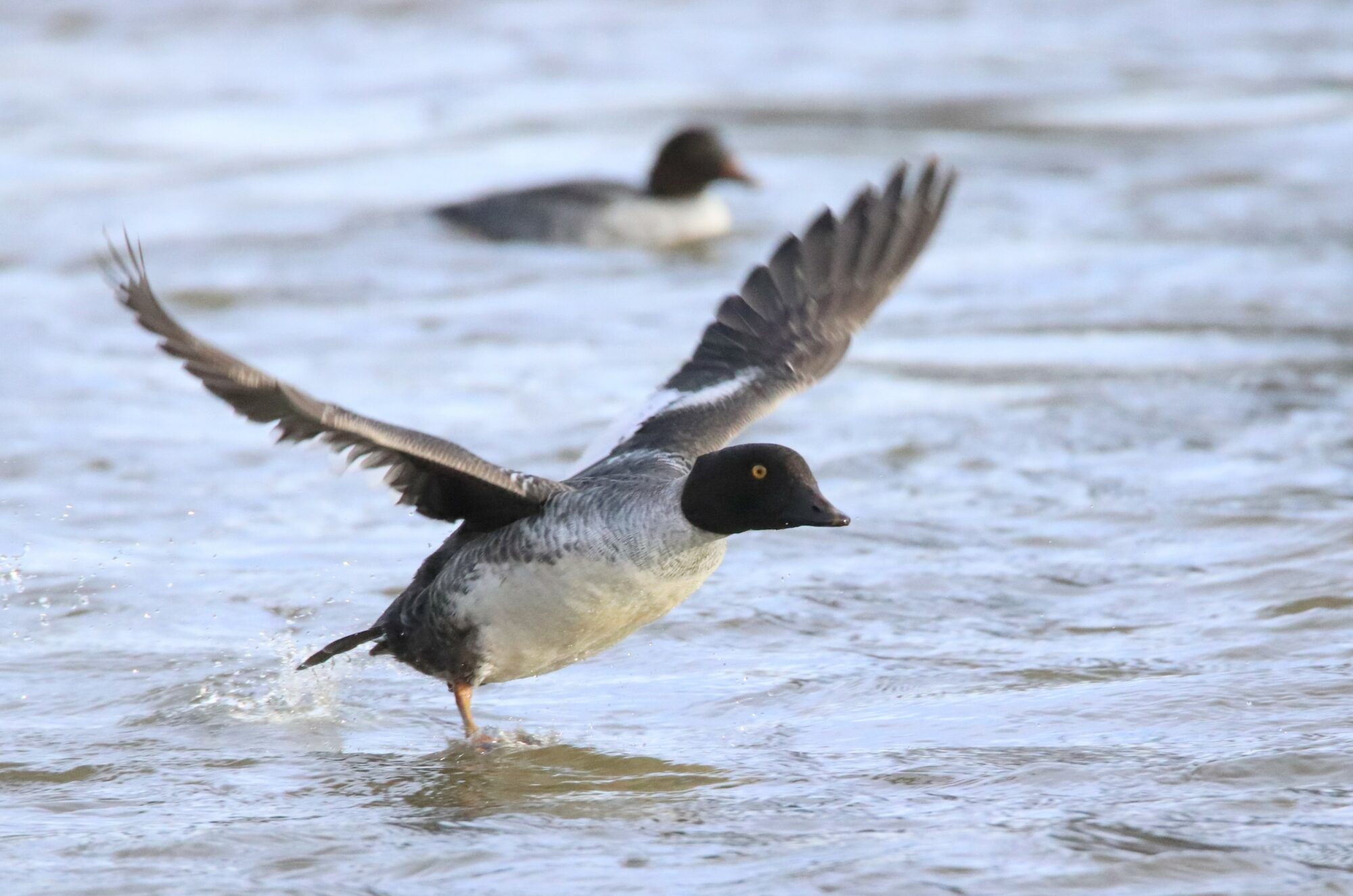 Valokuvaaja: Irja Lehtinen