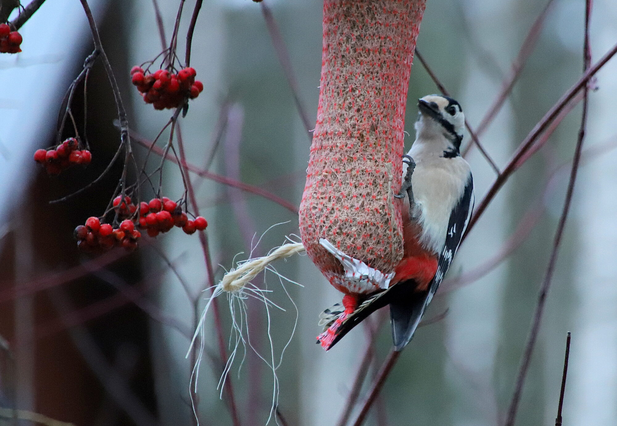 Valokuvaaja: sirpa jyske
