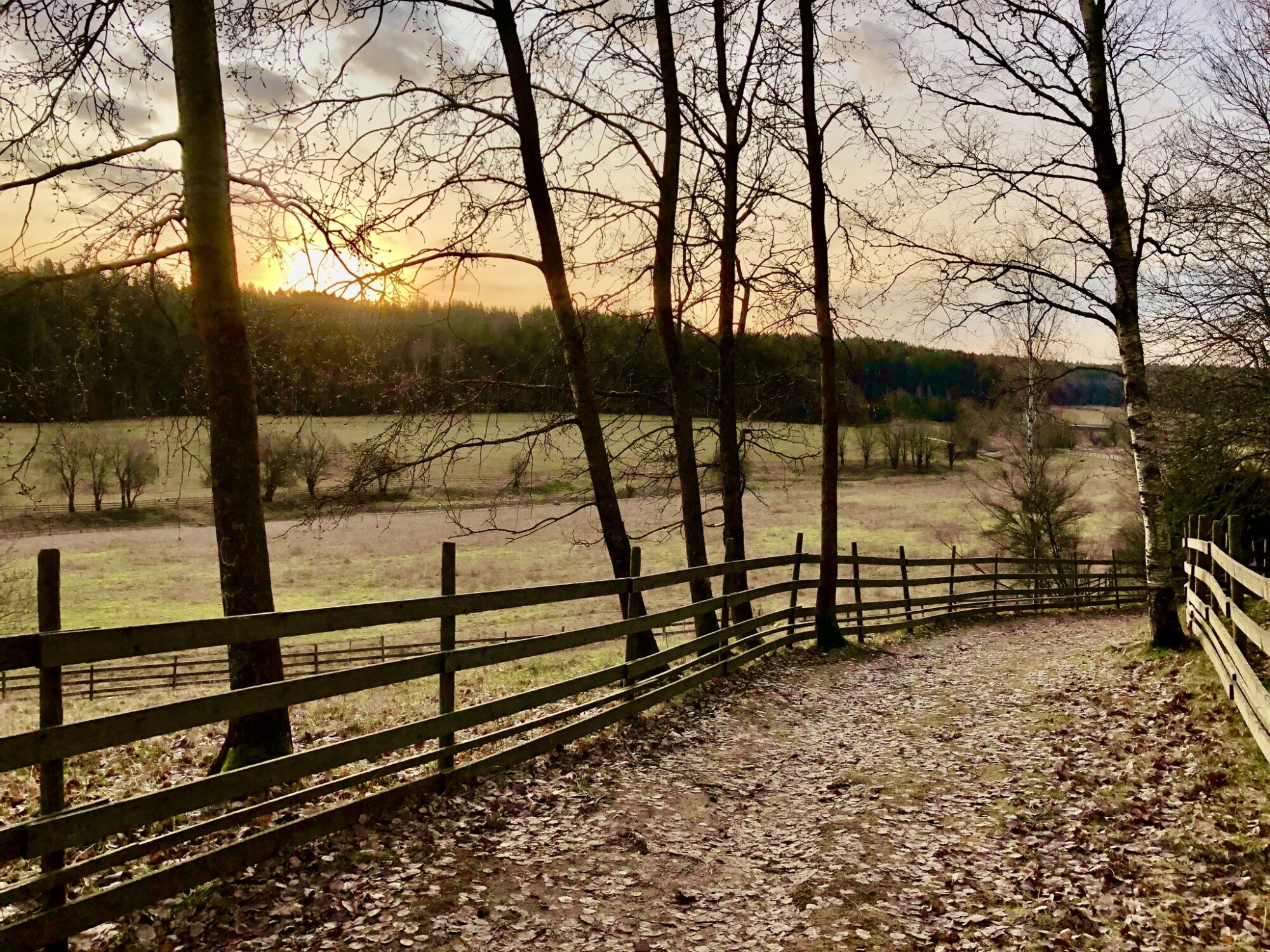 Valokuvaaja: Juhani Peltonen