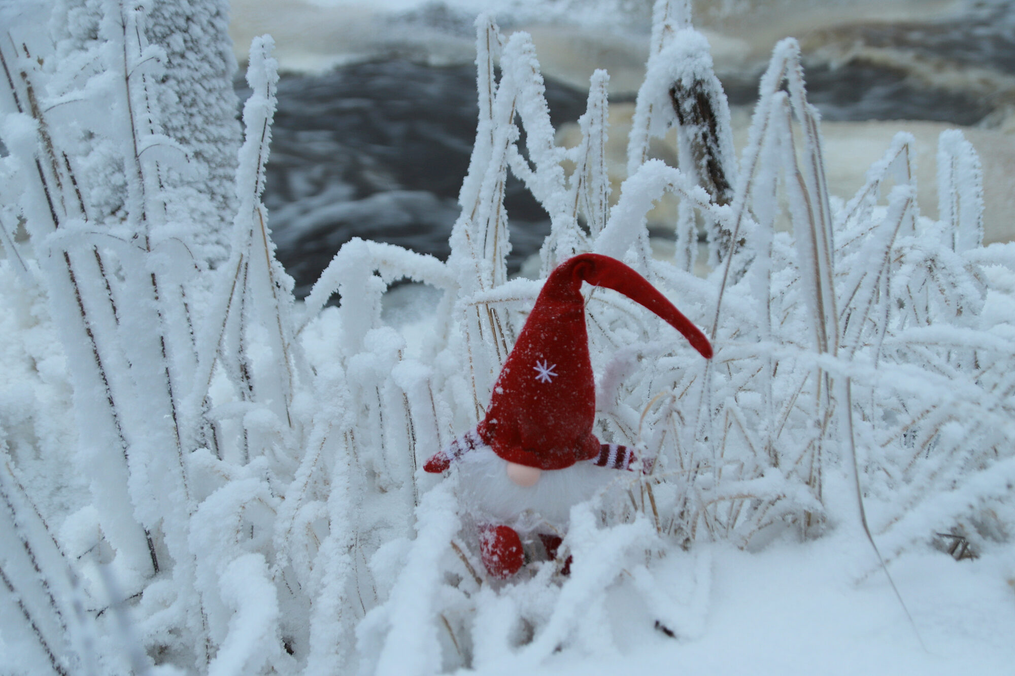 Valokuvaaja: sirpa jyske