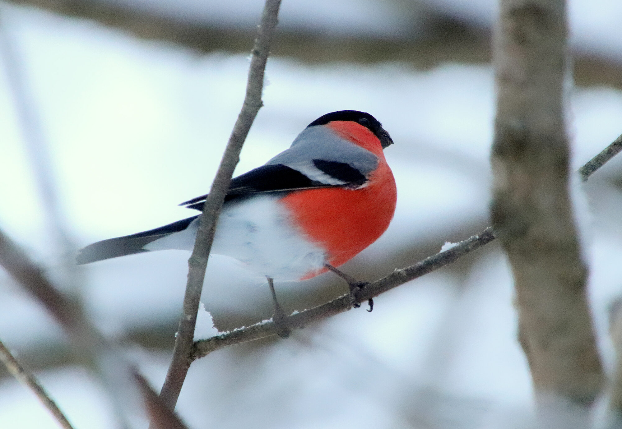 Valokuvaaja: sirpa jyske
