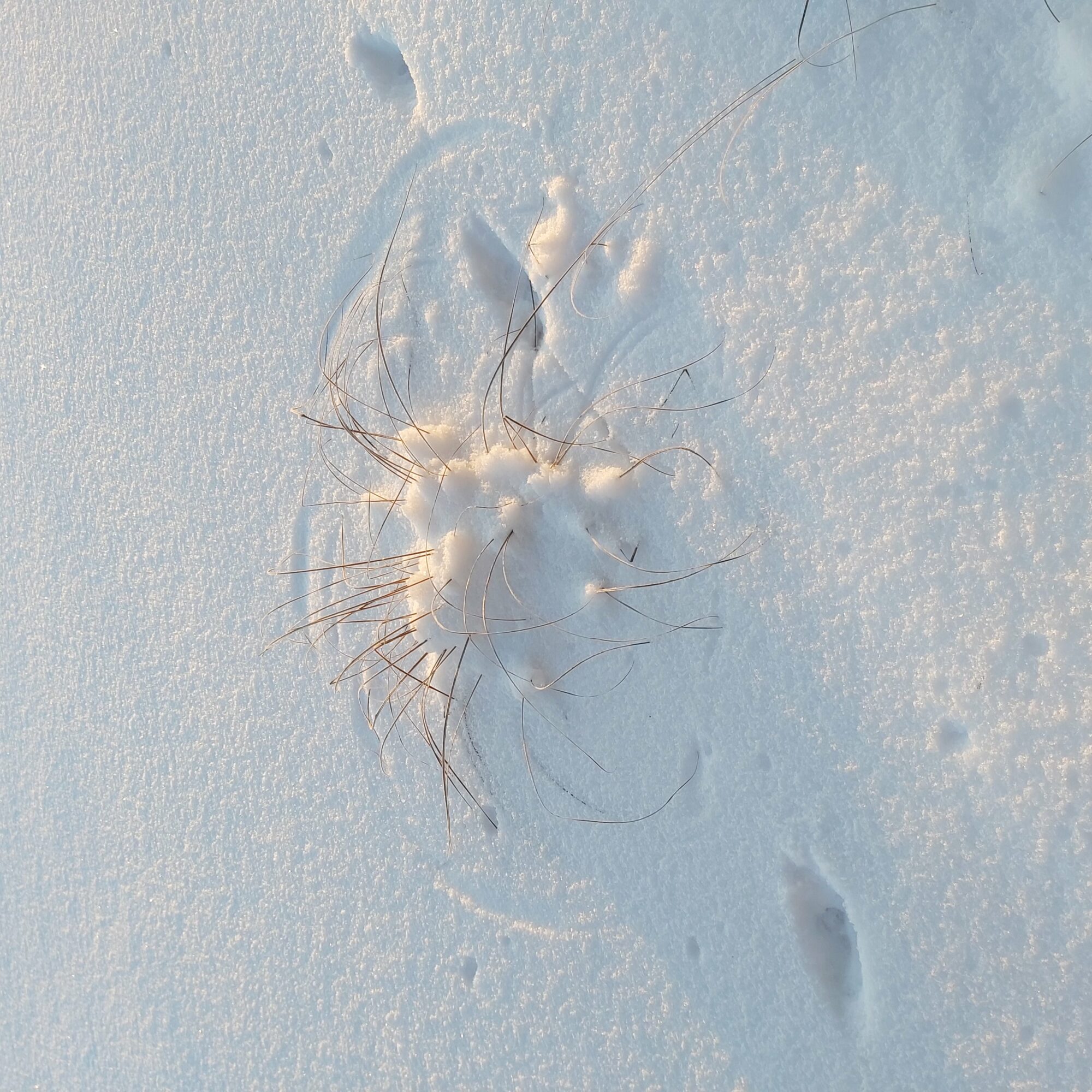 Valokuvaaja: Kaisa Marila