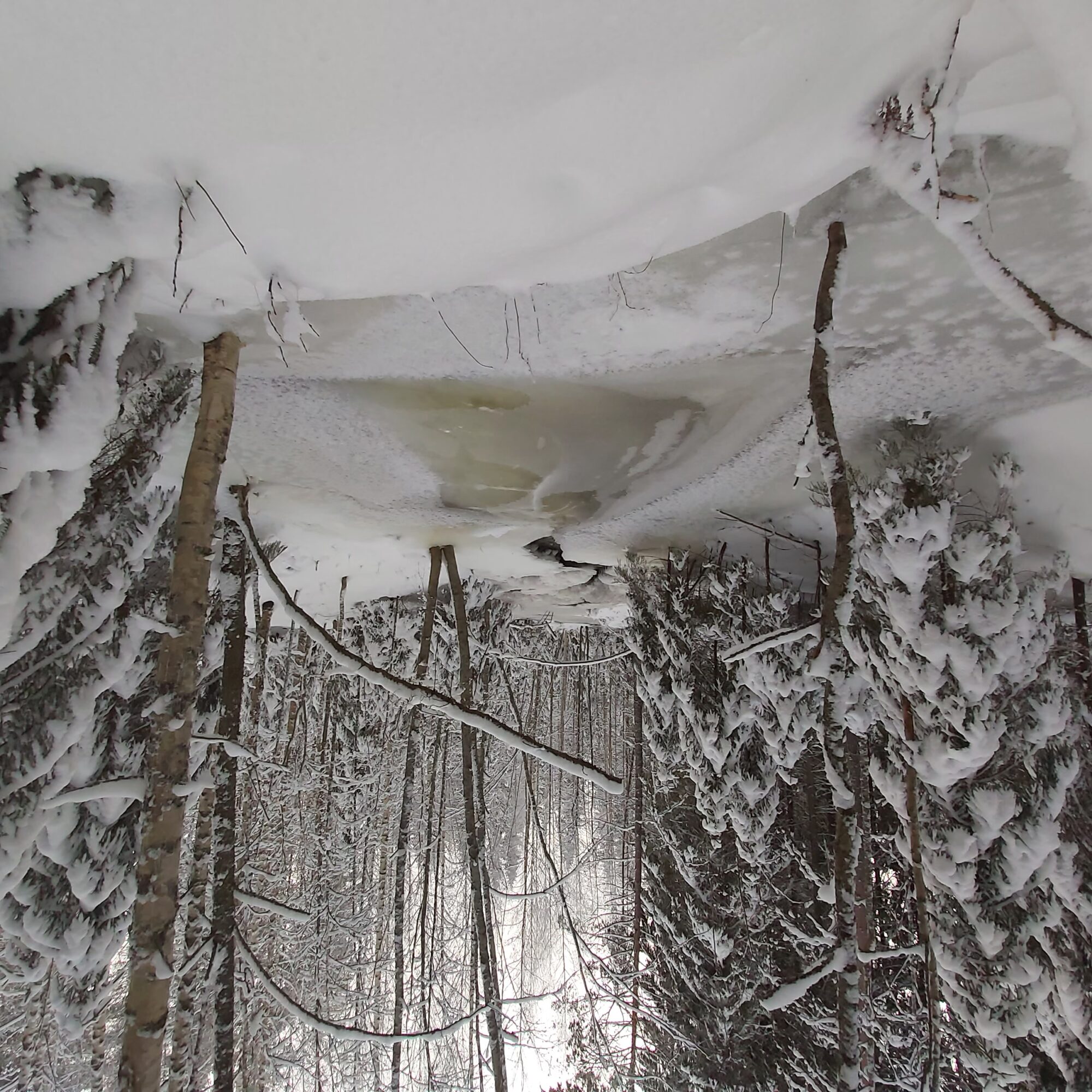 Valokuvaaja: Kaisa Marila