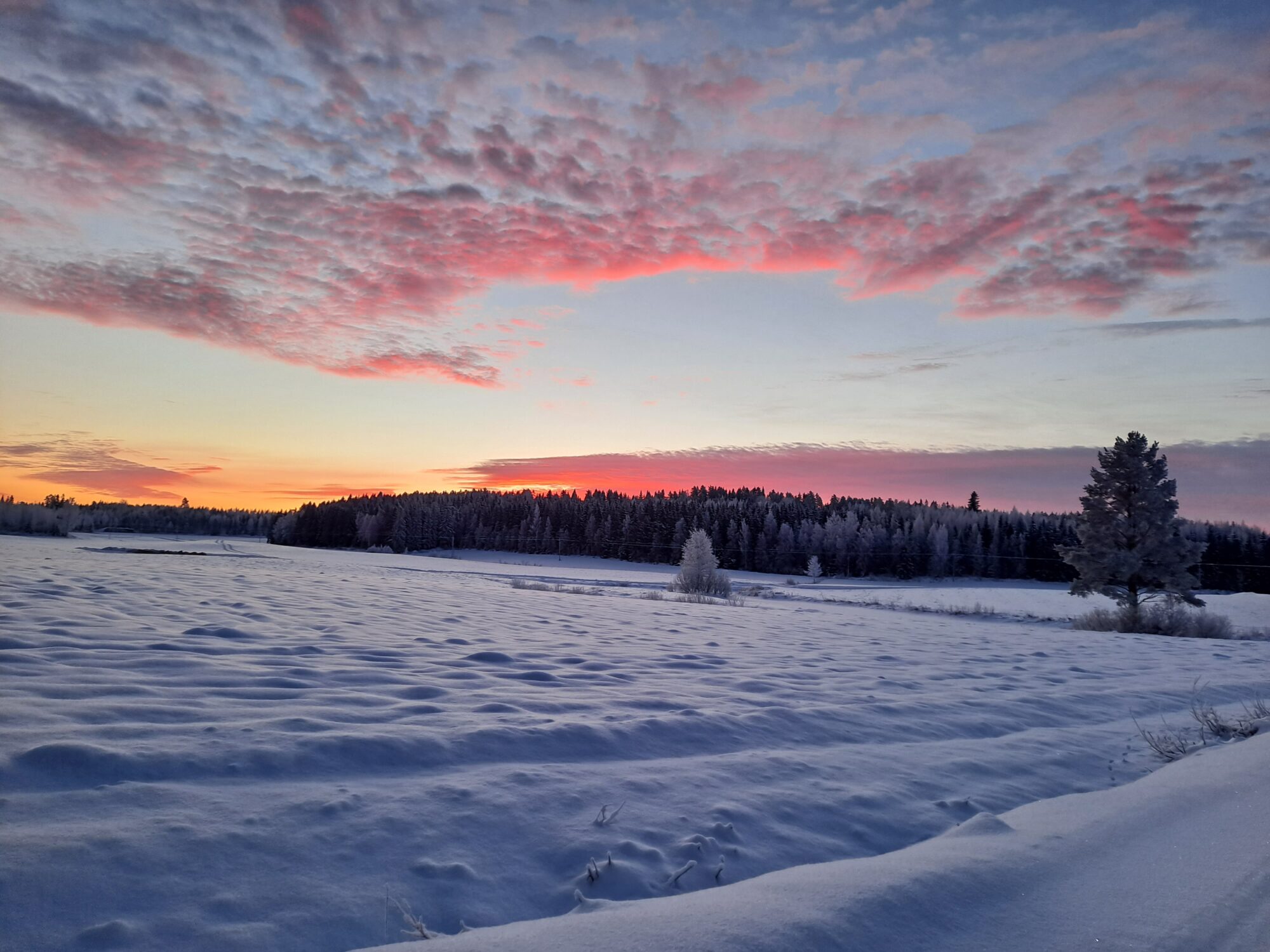 Valokuvaaja: Hannu Rissanen