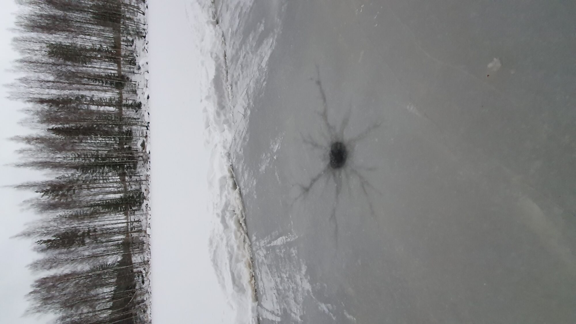 Valokuvaaja: Arja Soramäki