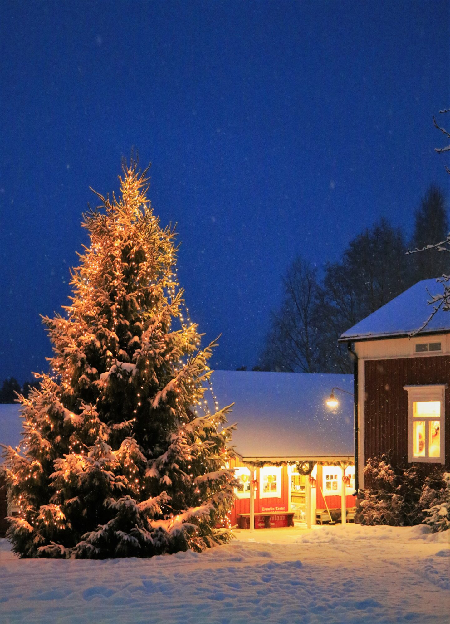Valokuvaaja: Anne keskivinkka