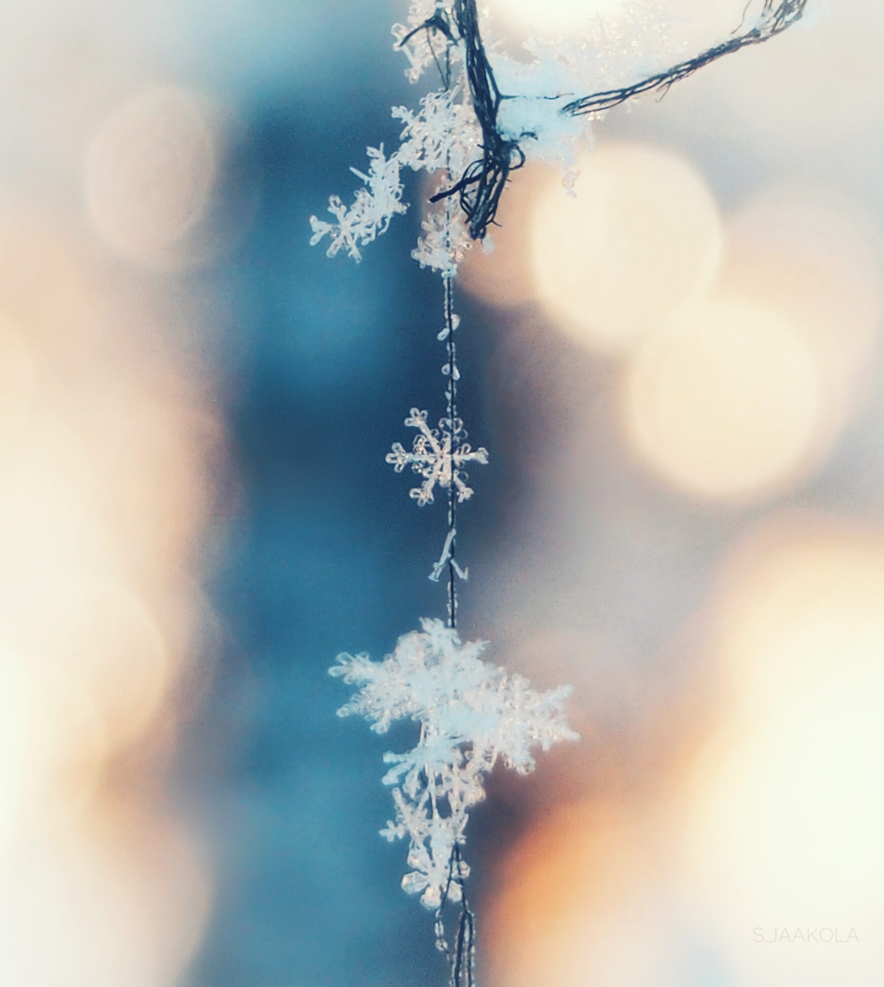 Valokuvaaja: Sonja Jaakola