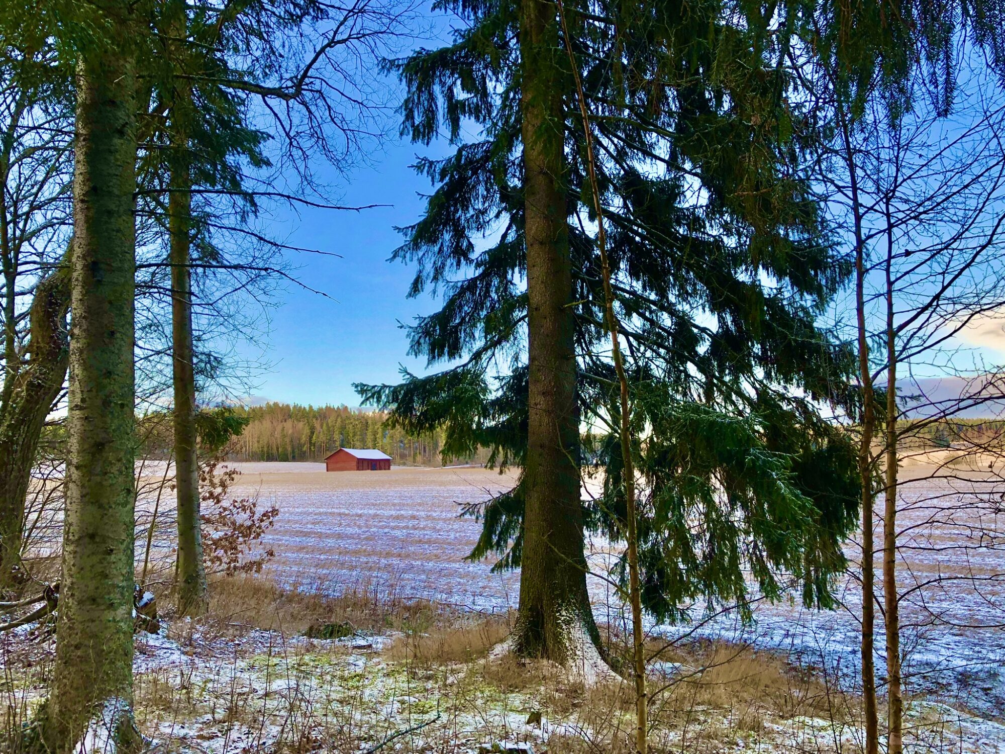 Valokuvaaja: Juhani Peltonen