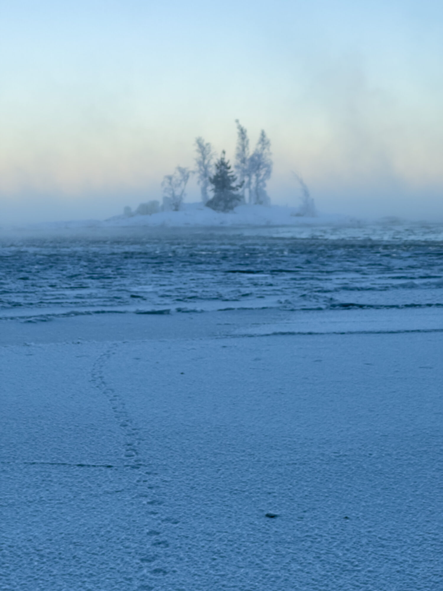 Valokuvaaja: Anne Patana