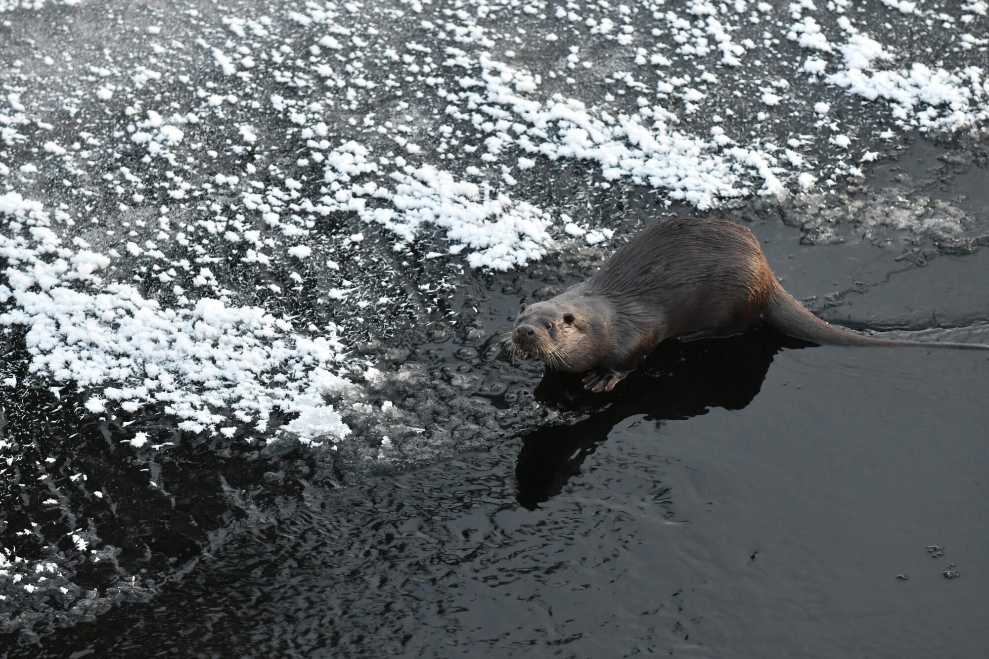 Valokuvaaja: Kimmo Hyppönen