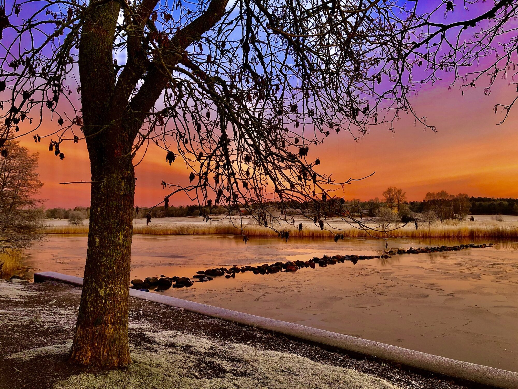 Valokuvaaja: Juhani Peltonen