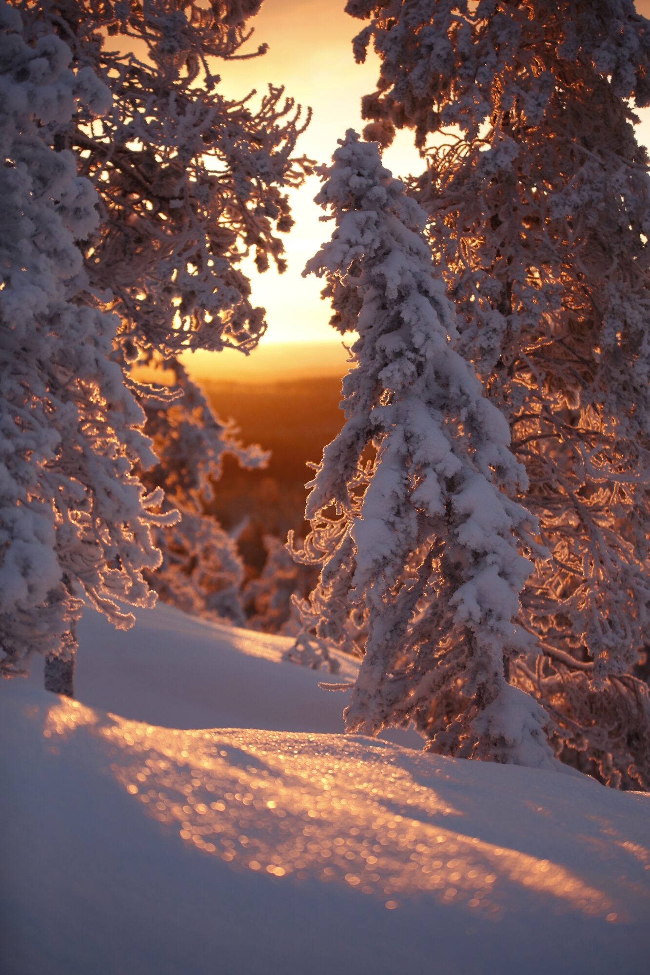 Valokuvaaja: Anne Jääskeläinen