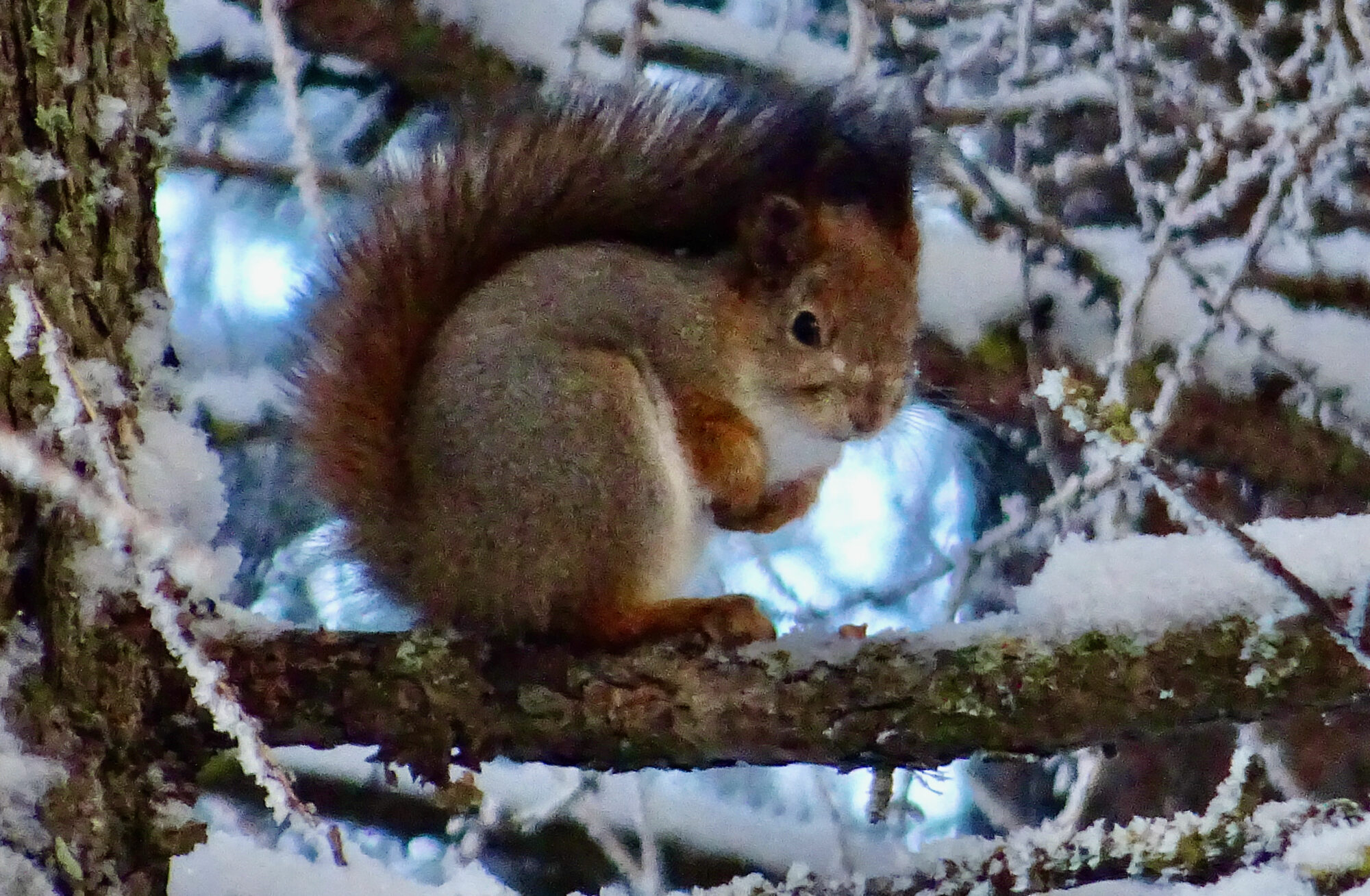 Valokuvaaja: Liisa Niiva-Korpela