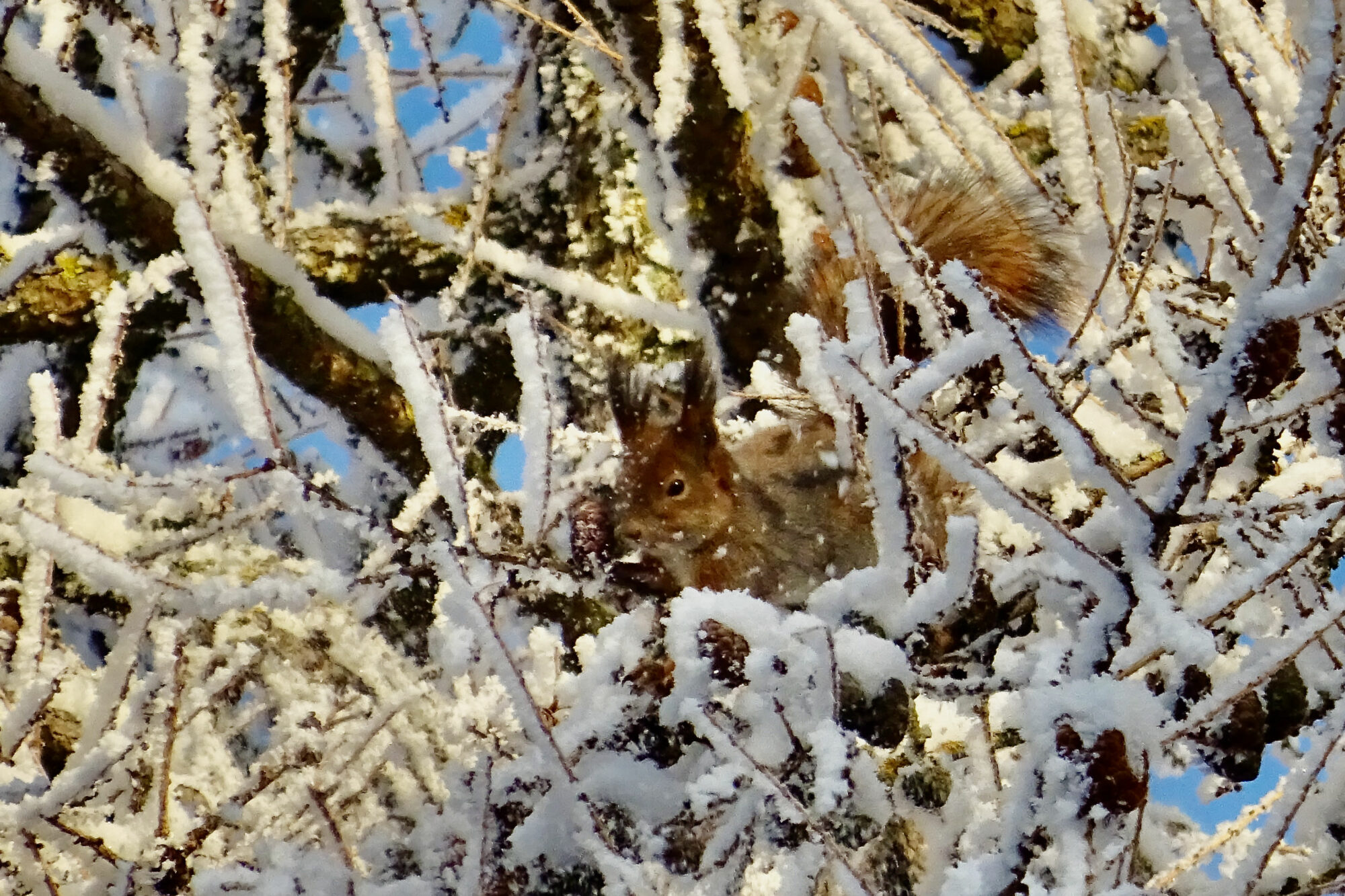 Valokuvaaja: Liisa Niiva-Korpela