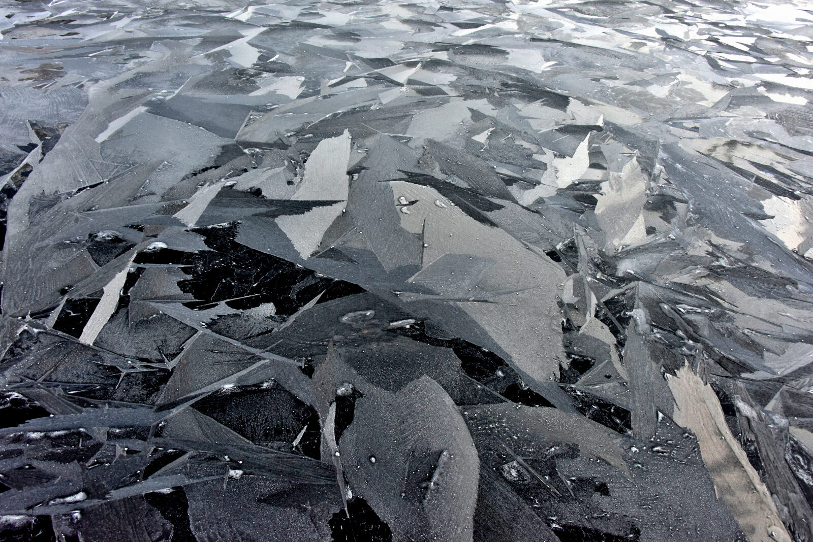 Valokuvaaja: Reijo Juurinen