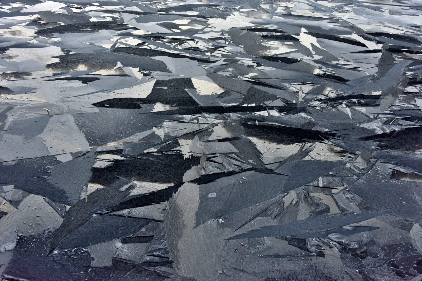 Valokuvaaja: Reijo Juurinen