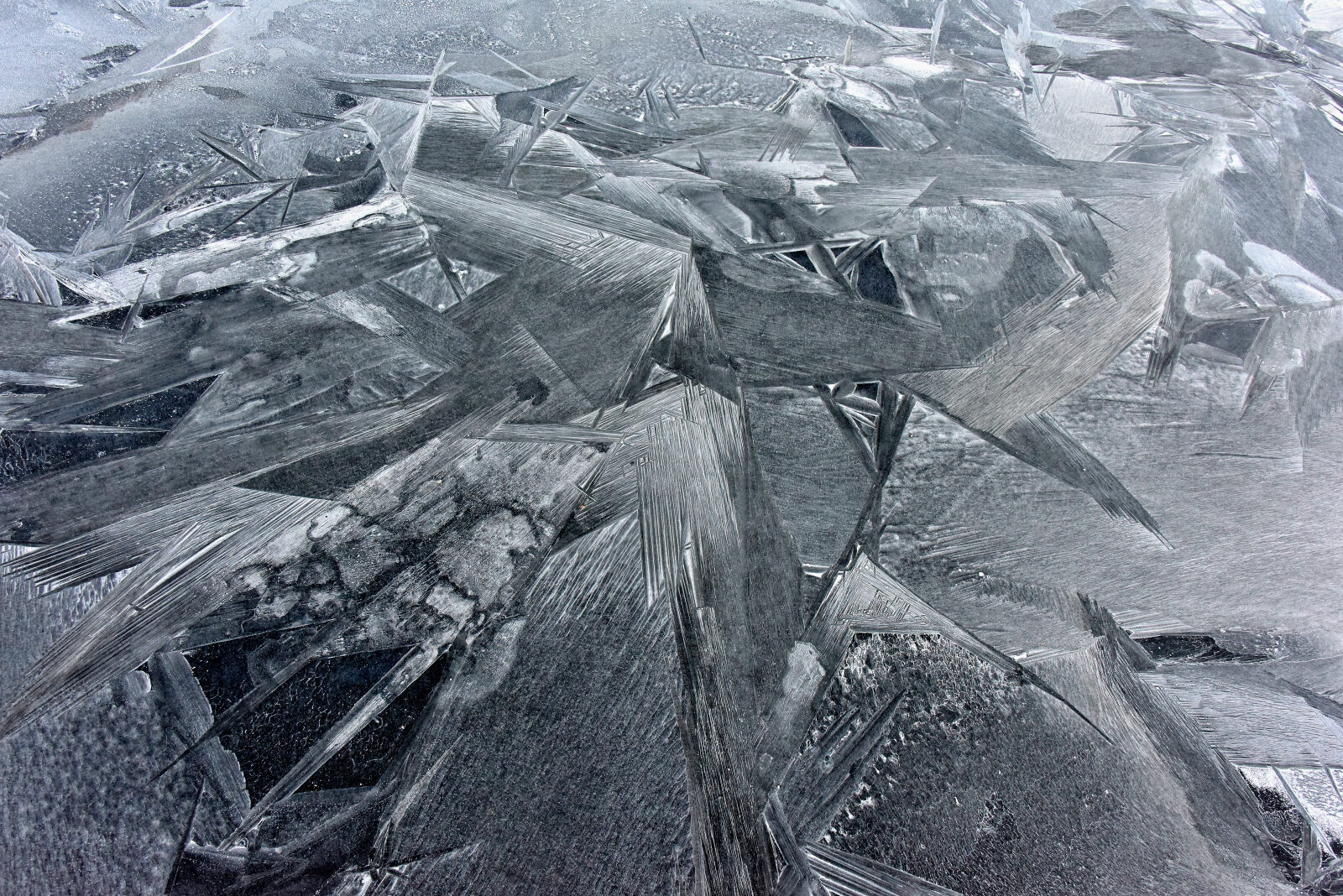 Valokuvaaja: Reijo Juurinen