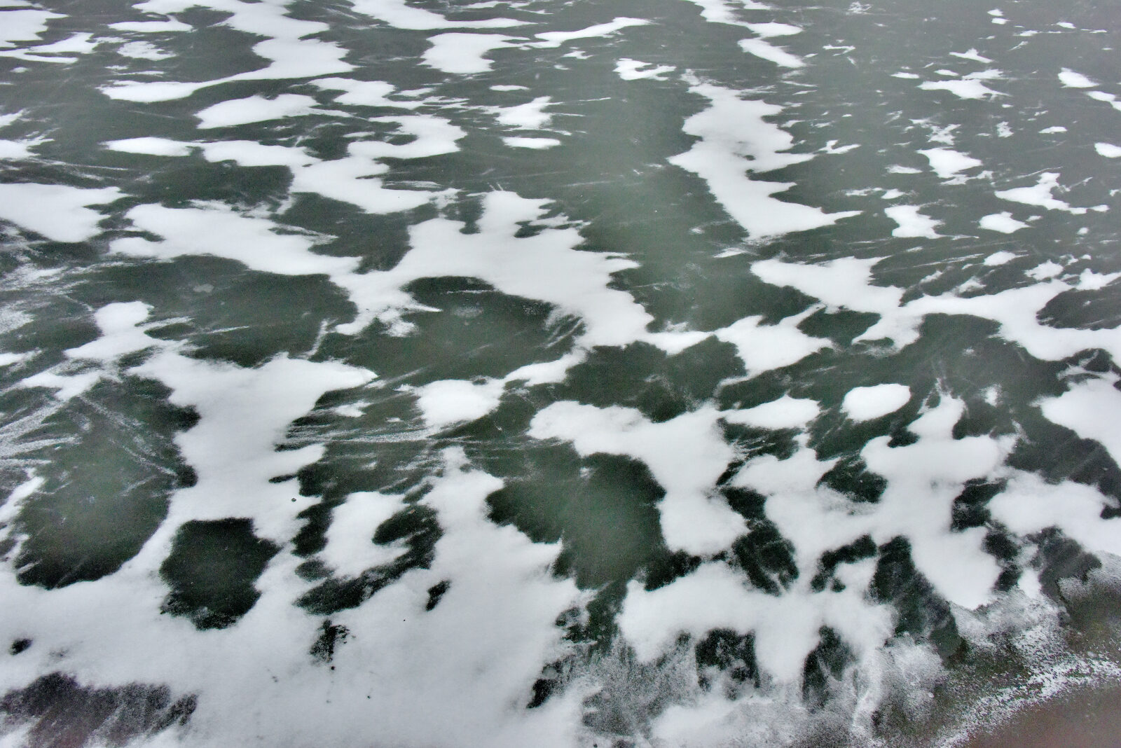 Valokuvaaja: Reijo Juurinen Valokuvaaja: Reijo Juurinen