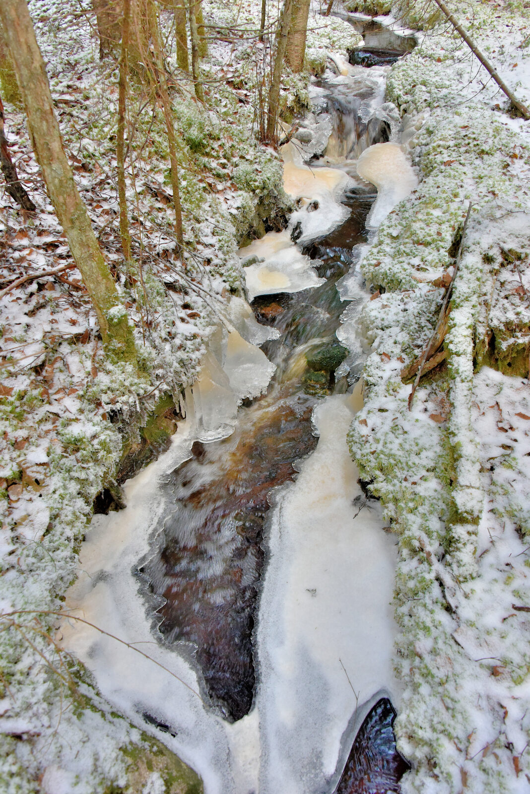 Valokuvaaja: Reijo Juurinen
