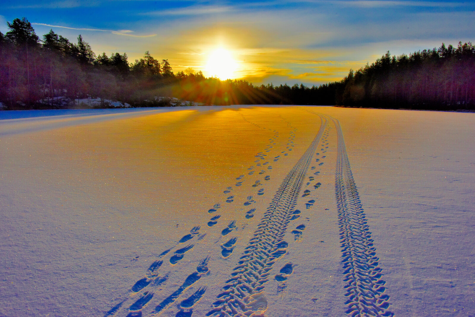 Valokuvaaja: Reijo Juurinen