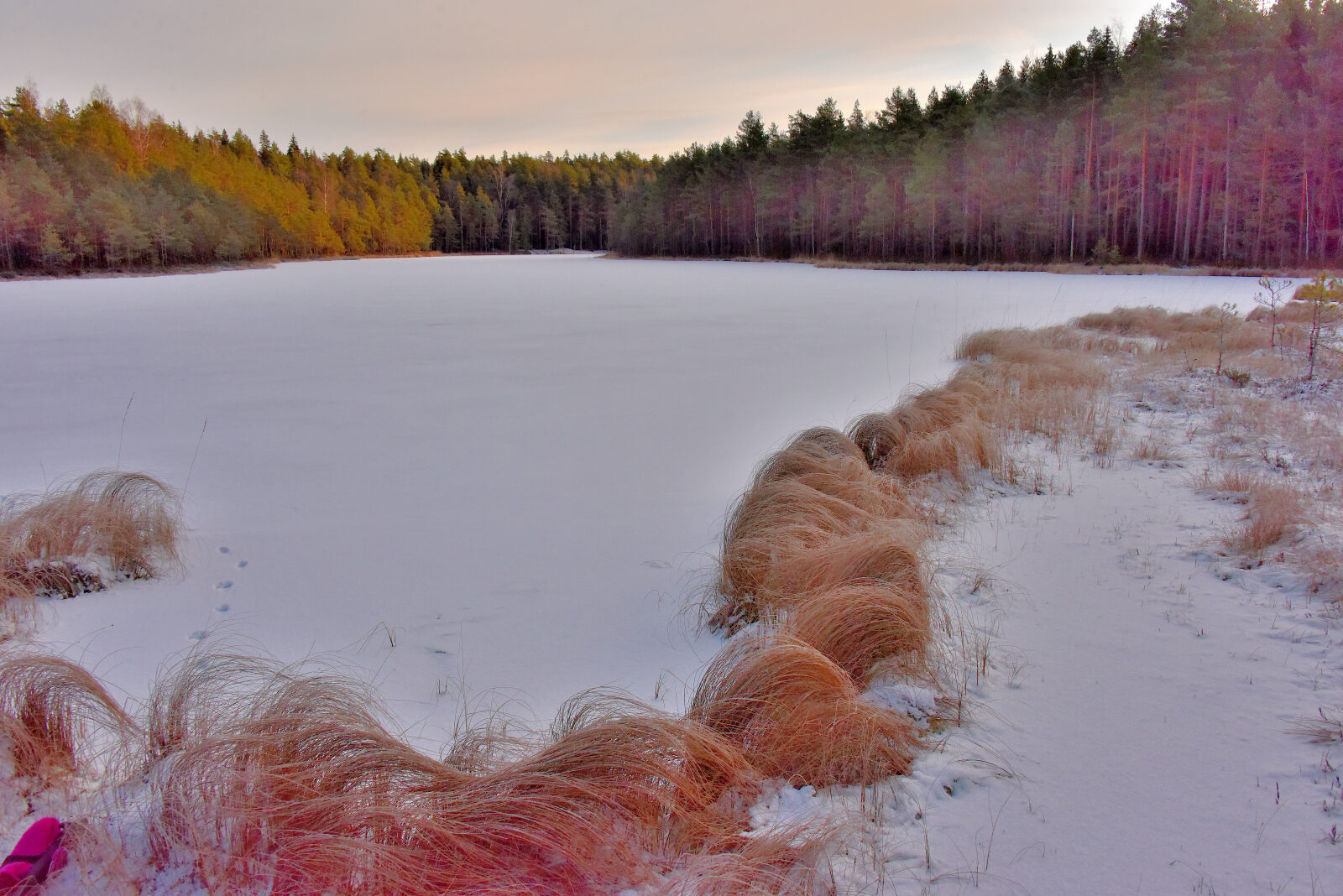 Valokuvaaja: Reijo Juurinen