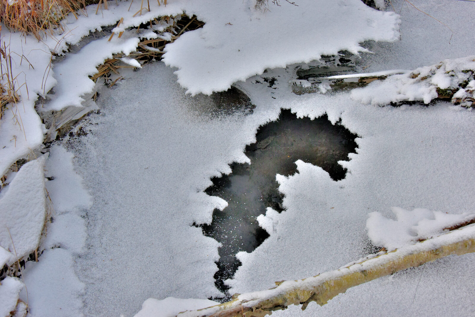 Valokuvaaja: Reijo Juurinen