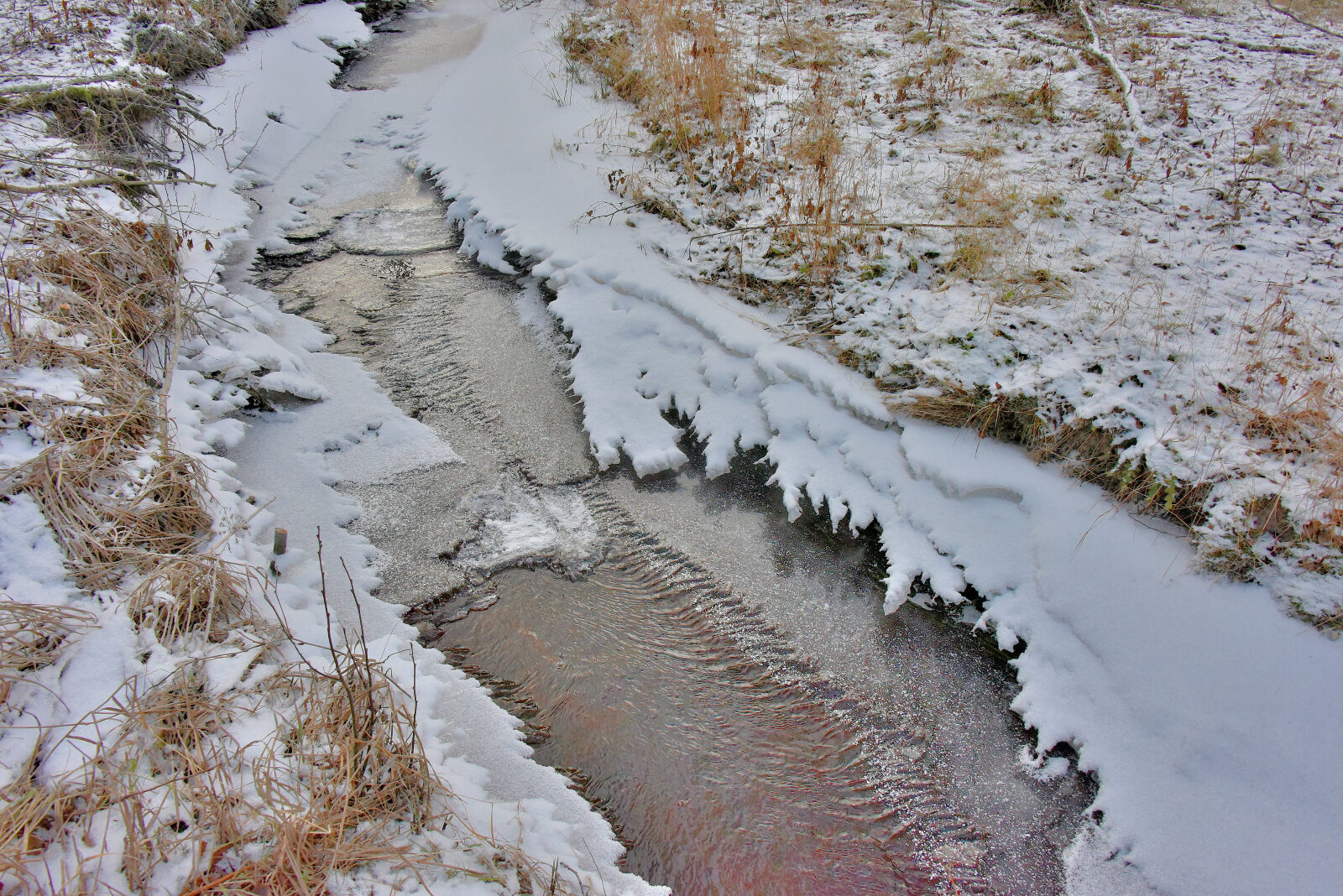 Valokuvaaja: Reijo Juurinen