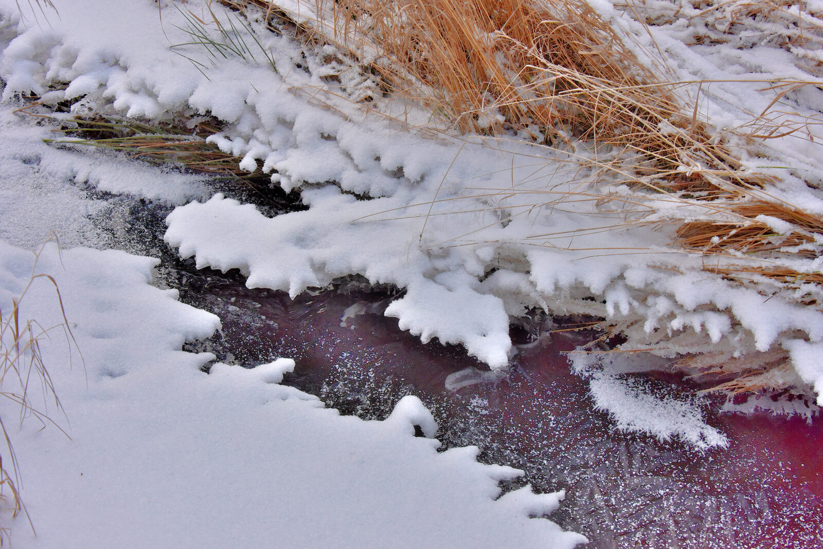 Valokuvaaja: Reijo Juurinen