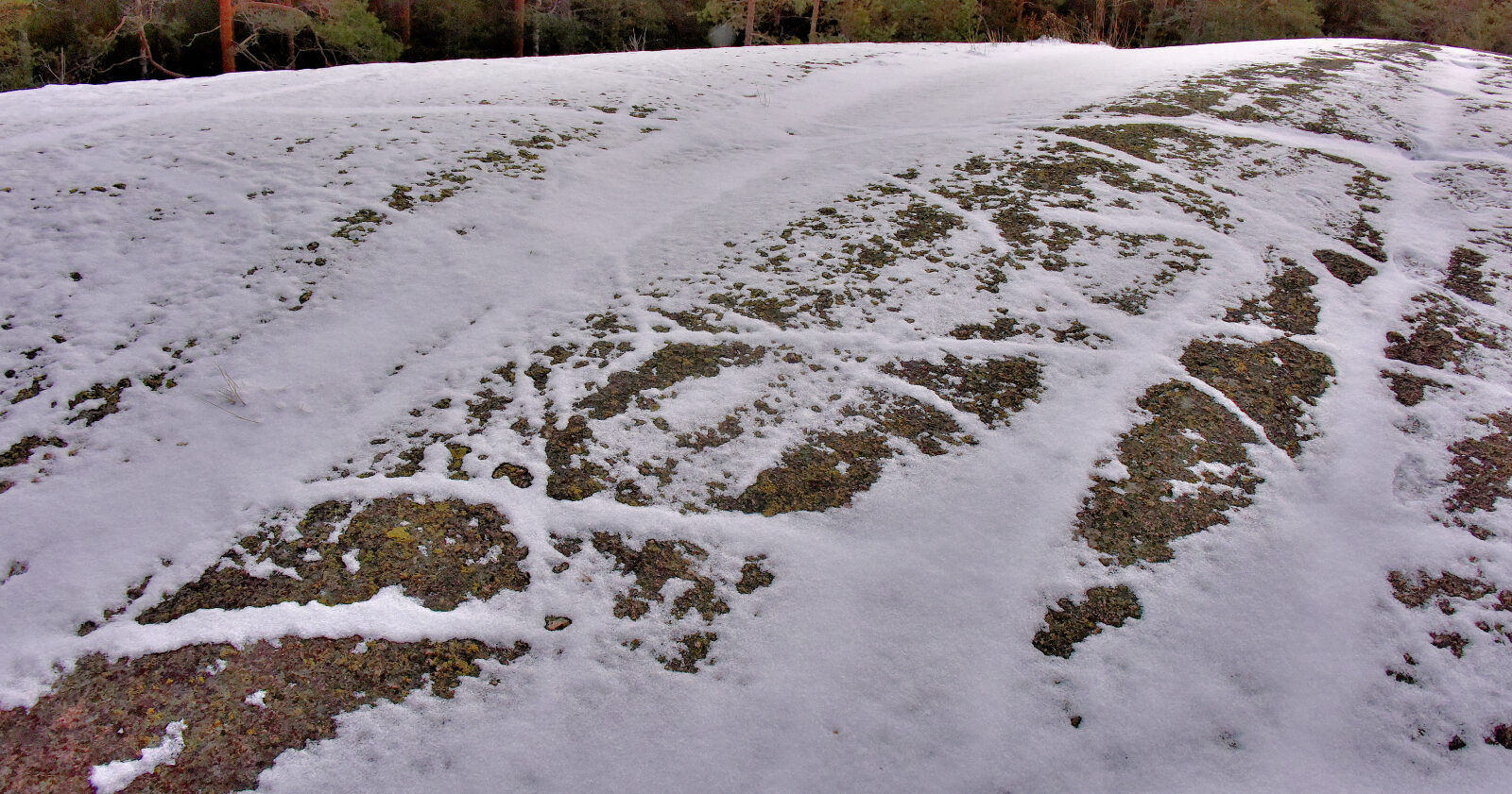 Valokuvaaja: Reijo Juurinen