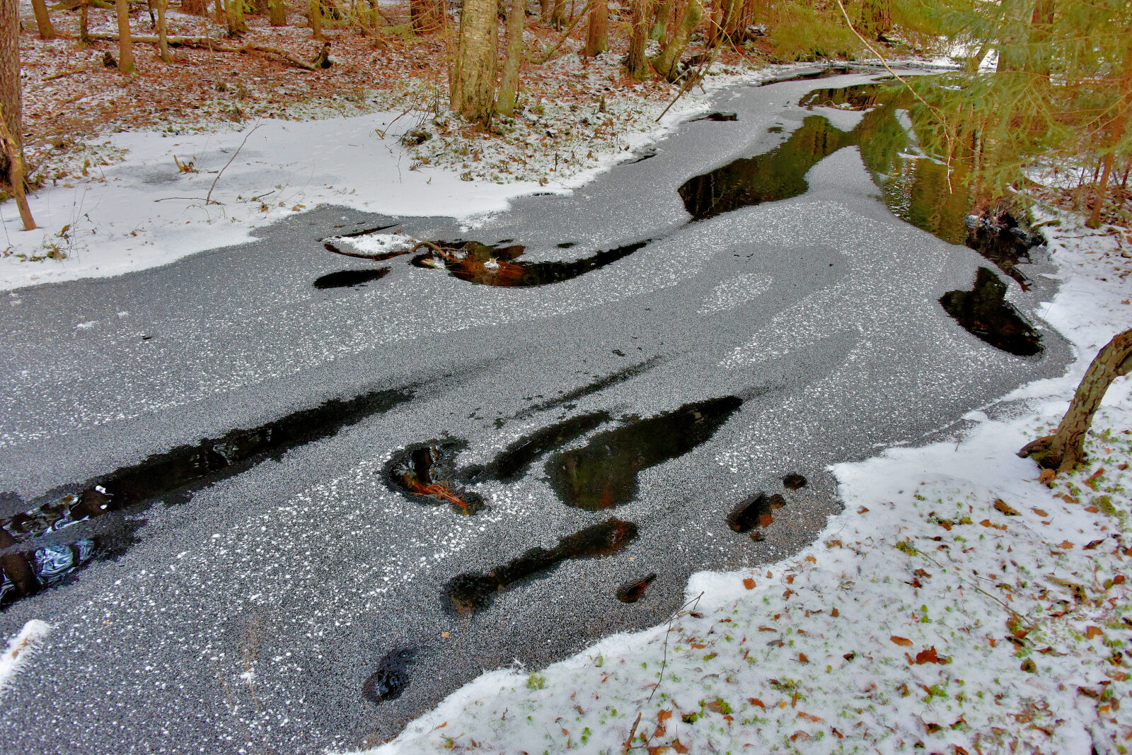 Valokuvaaja: Reijo Juurinen