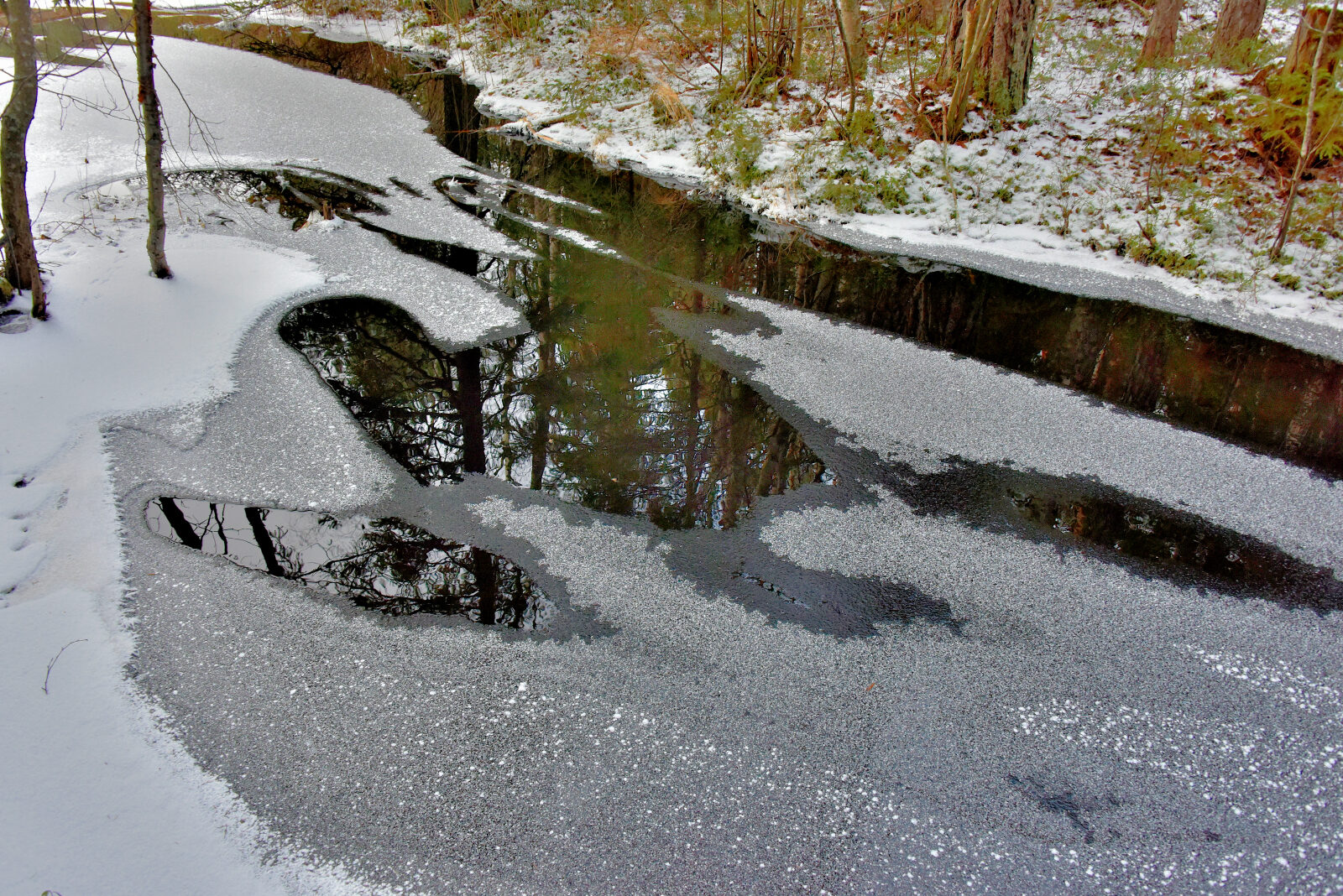 Valokuvaaja: Reijo Juurinen
