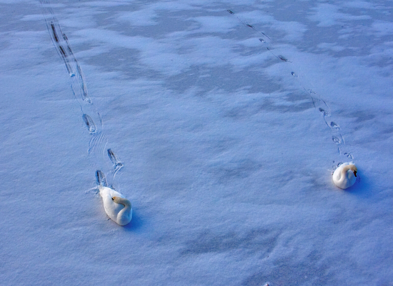 Valokuvaaja: Reijo Juurinen