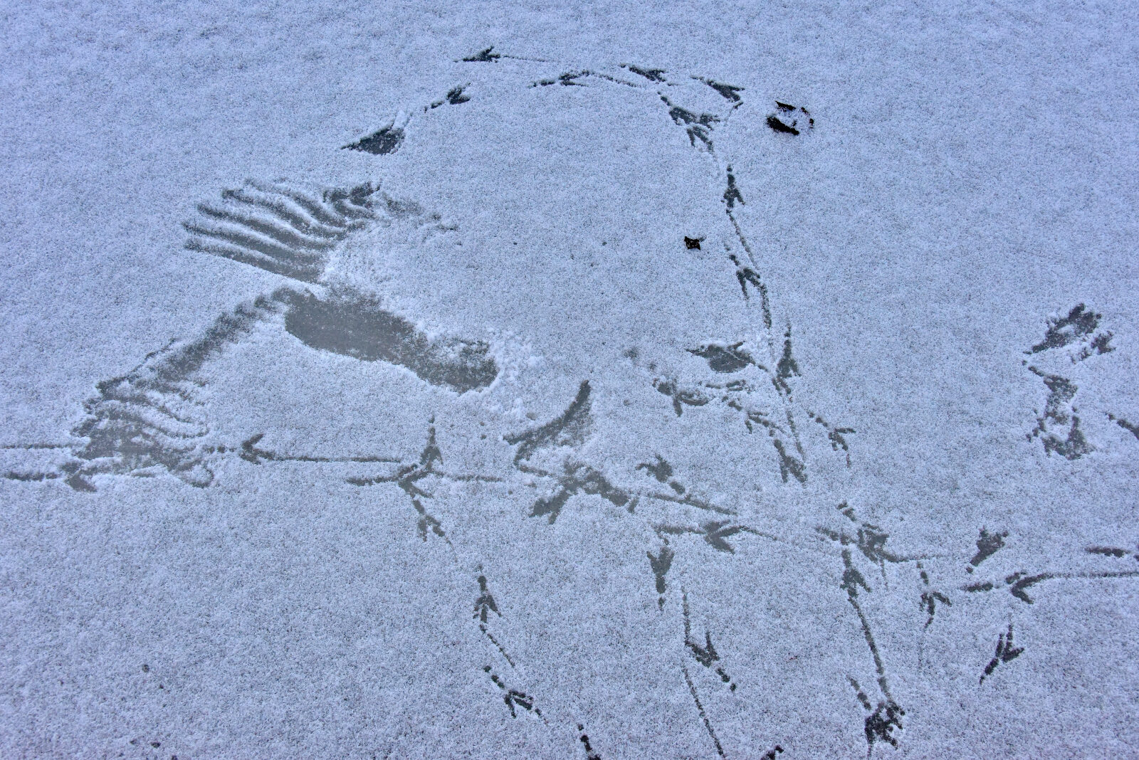 Valokuvaaja: Reijo Juurinen