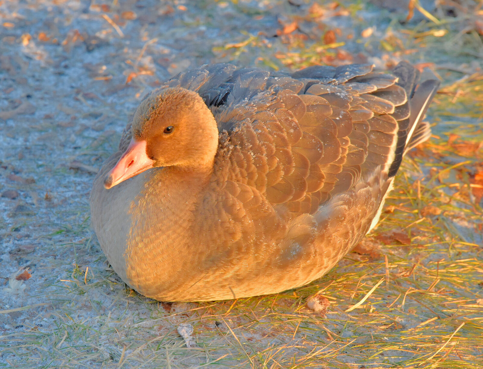 Valokuvaaja: Reijo Juurinen
