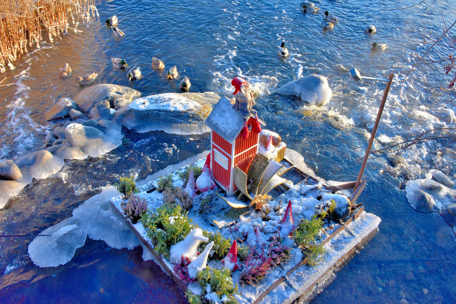 Valokuvaaja: Reijo Juurinen