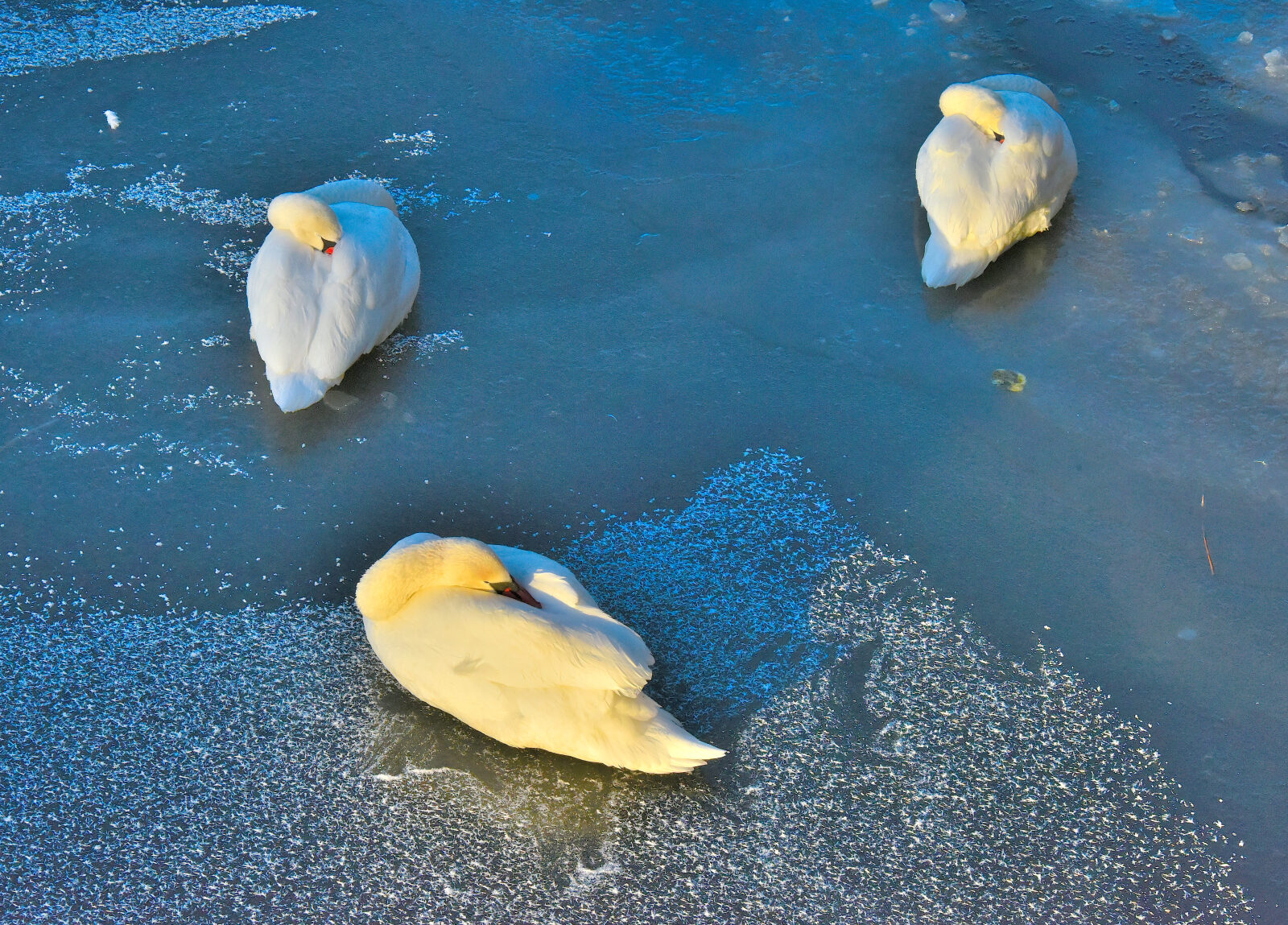 Valokuvaaja: Reijo Juurinen