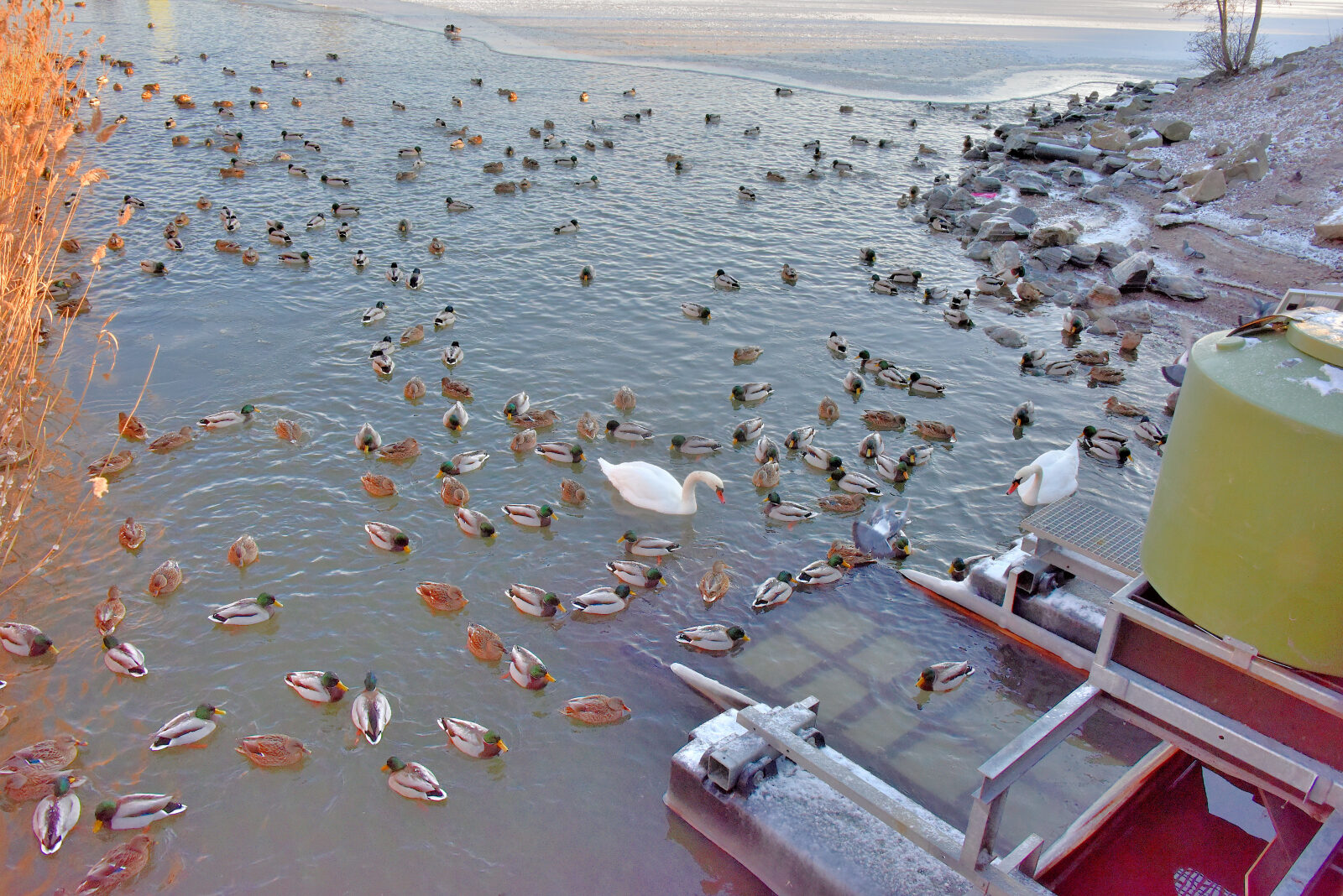 Valokuvaaja: Reijo Juurinen