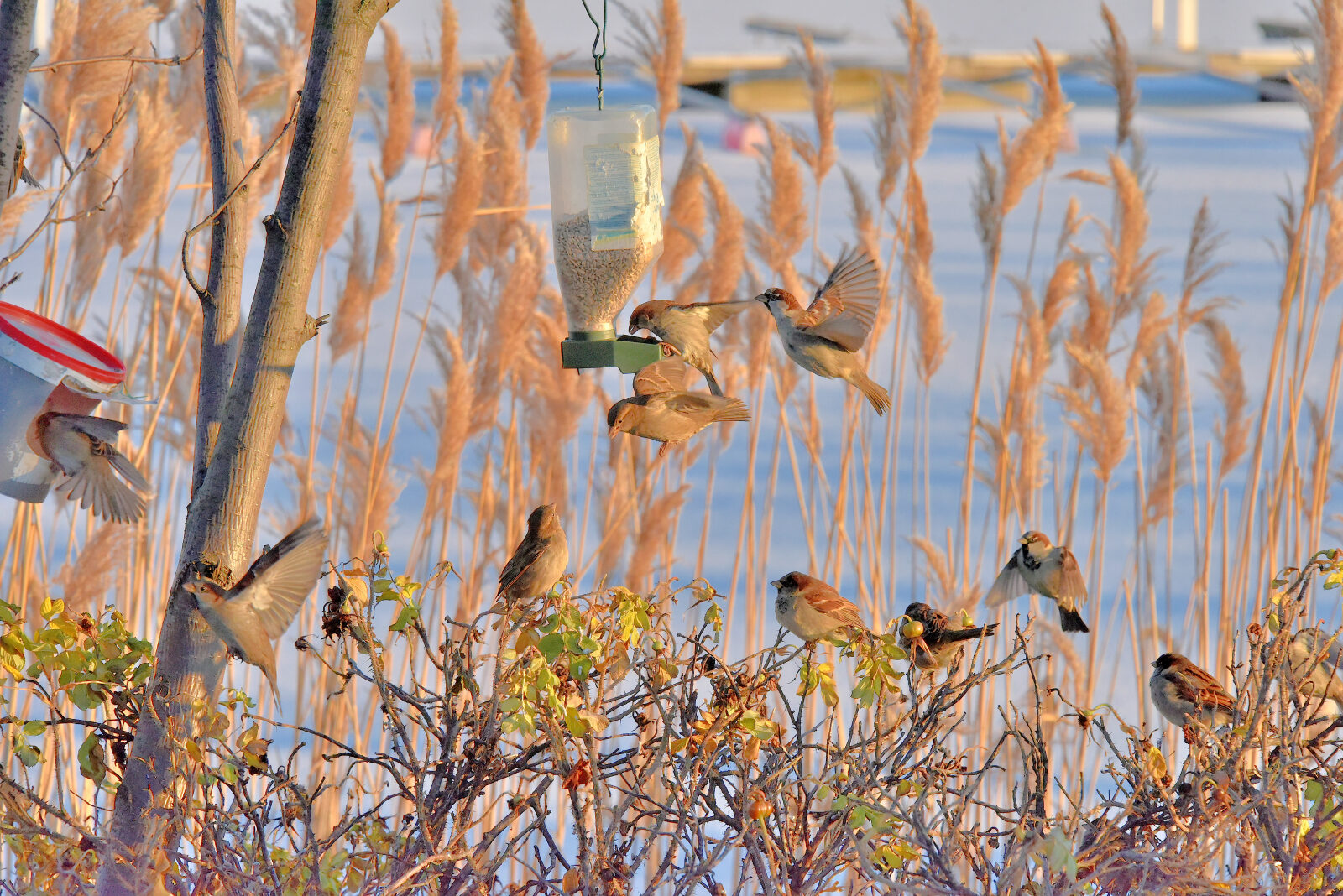 Valokuvaaja: Reijo Juurinen Valokuvaaja: Reijo Juurinen