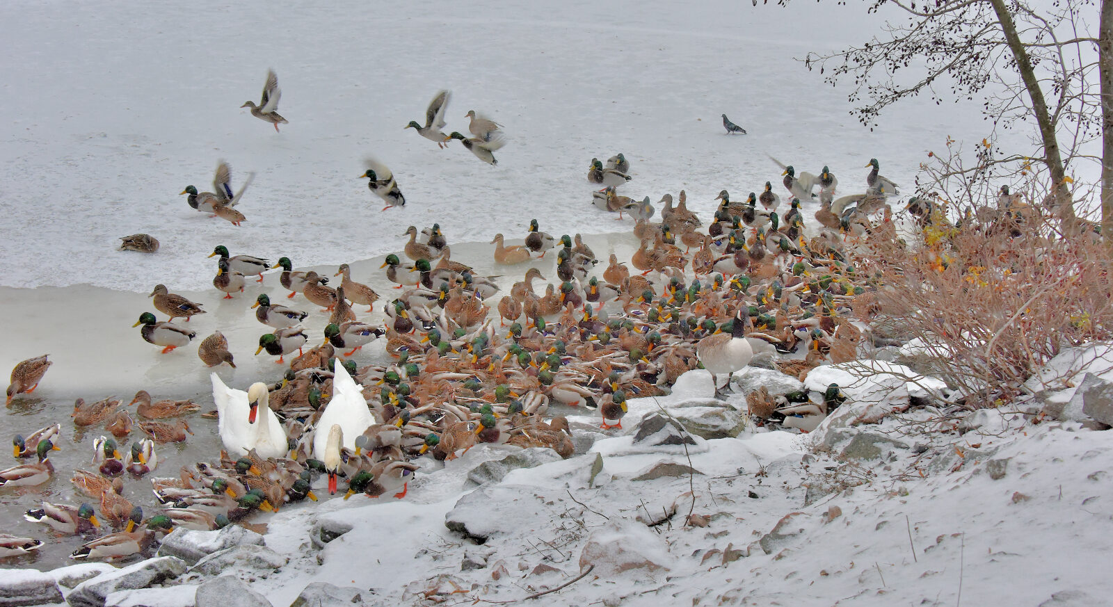 Valokuvaaja: Reijo Juurinen Valokuvaaja: Reijo Juurinen