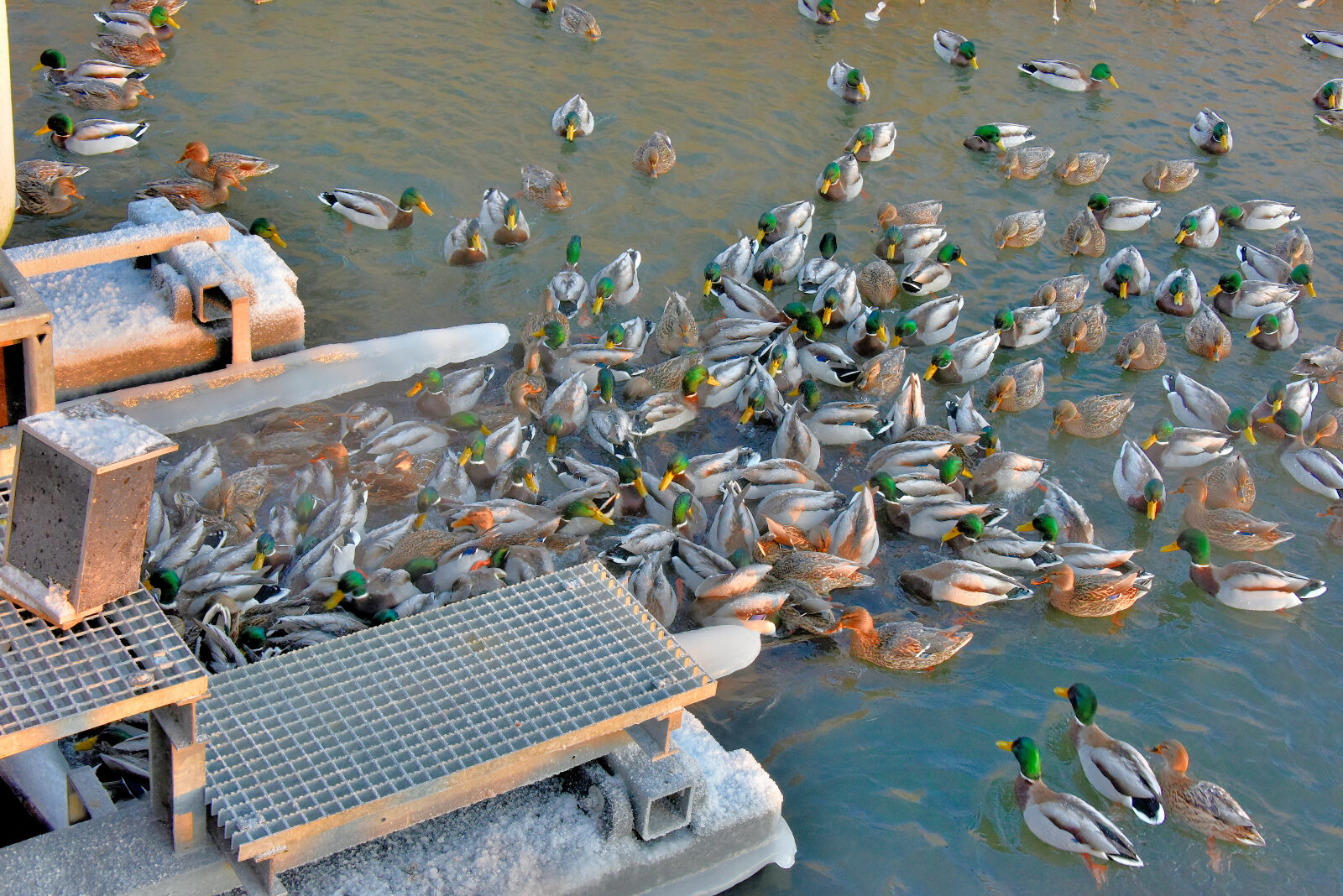 Valokuvaaja: Reijo Juurinen